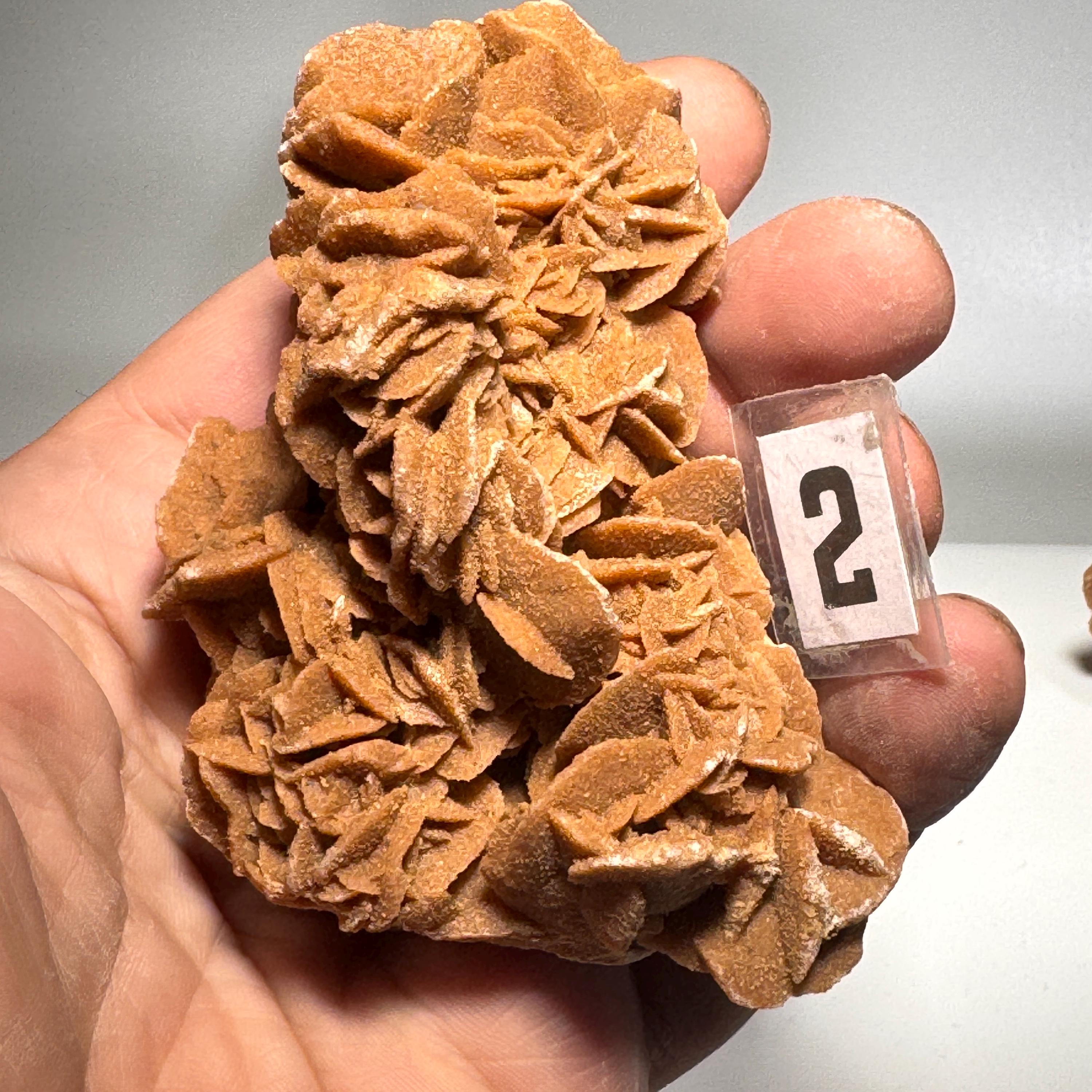 [shopname] - Selenite Desert Rose, rock decor