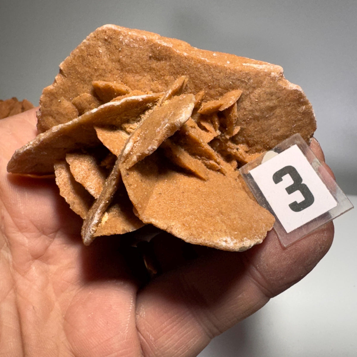 [shopname] - Selenite Desert Rose, rock decor