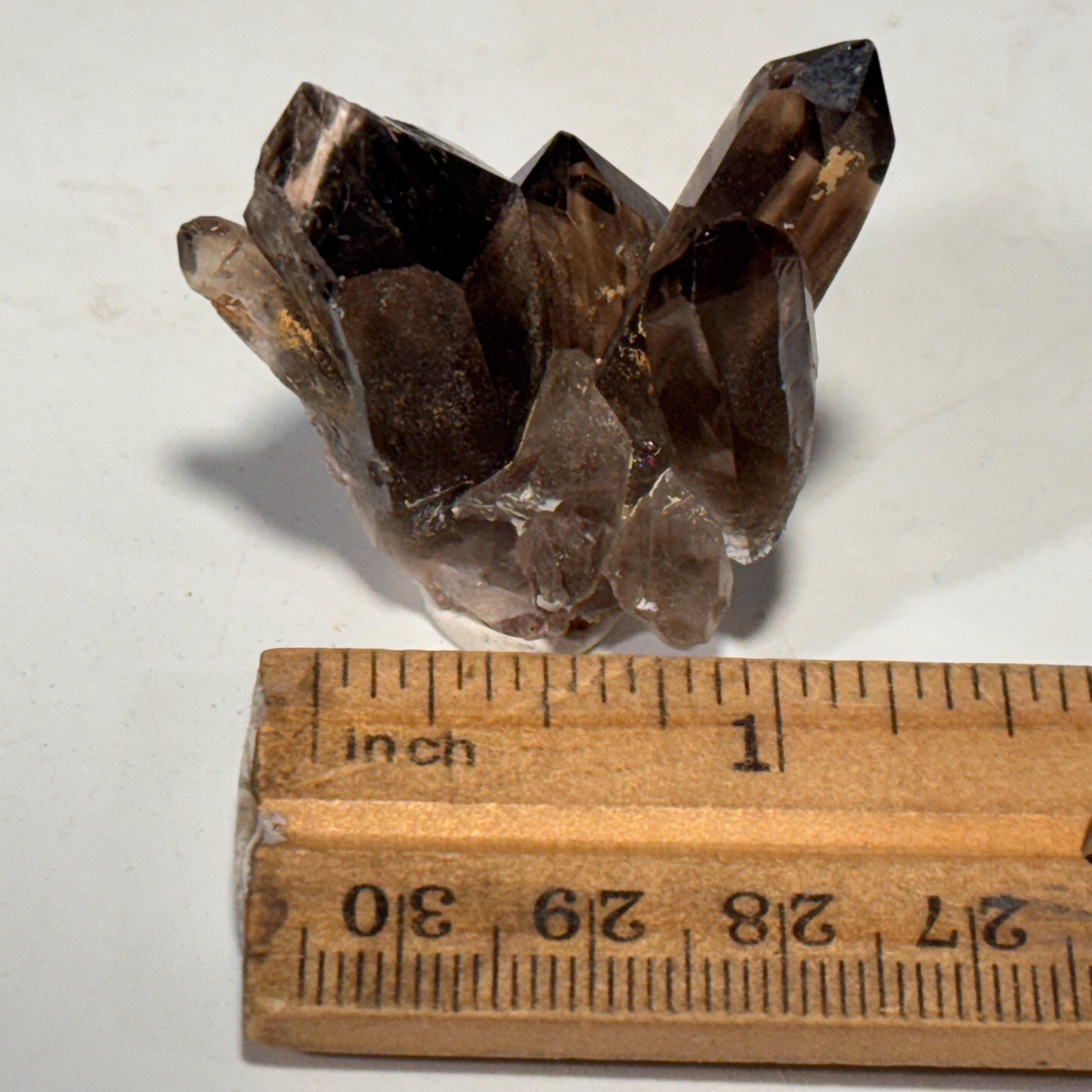 [shopname] - Small Smoky Quartz Crystal, rock decor