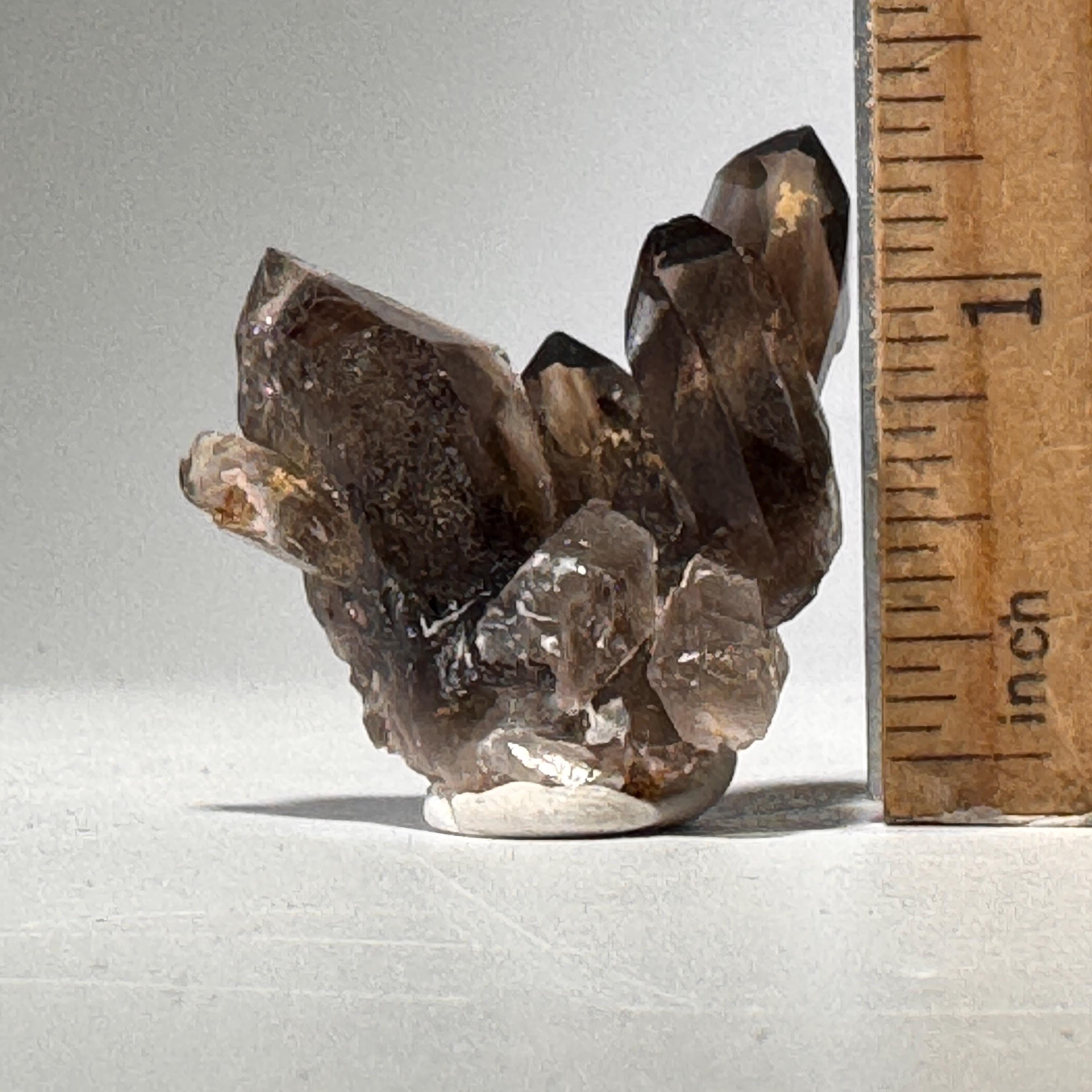 [shopname] - Small Smoky Quartz Crystal, rock decor