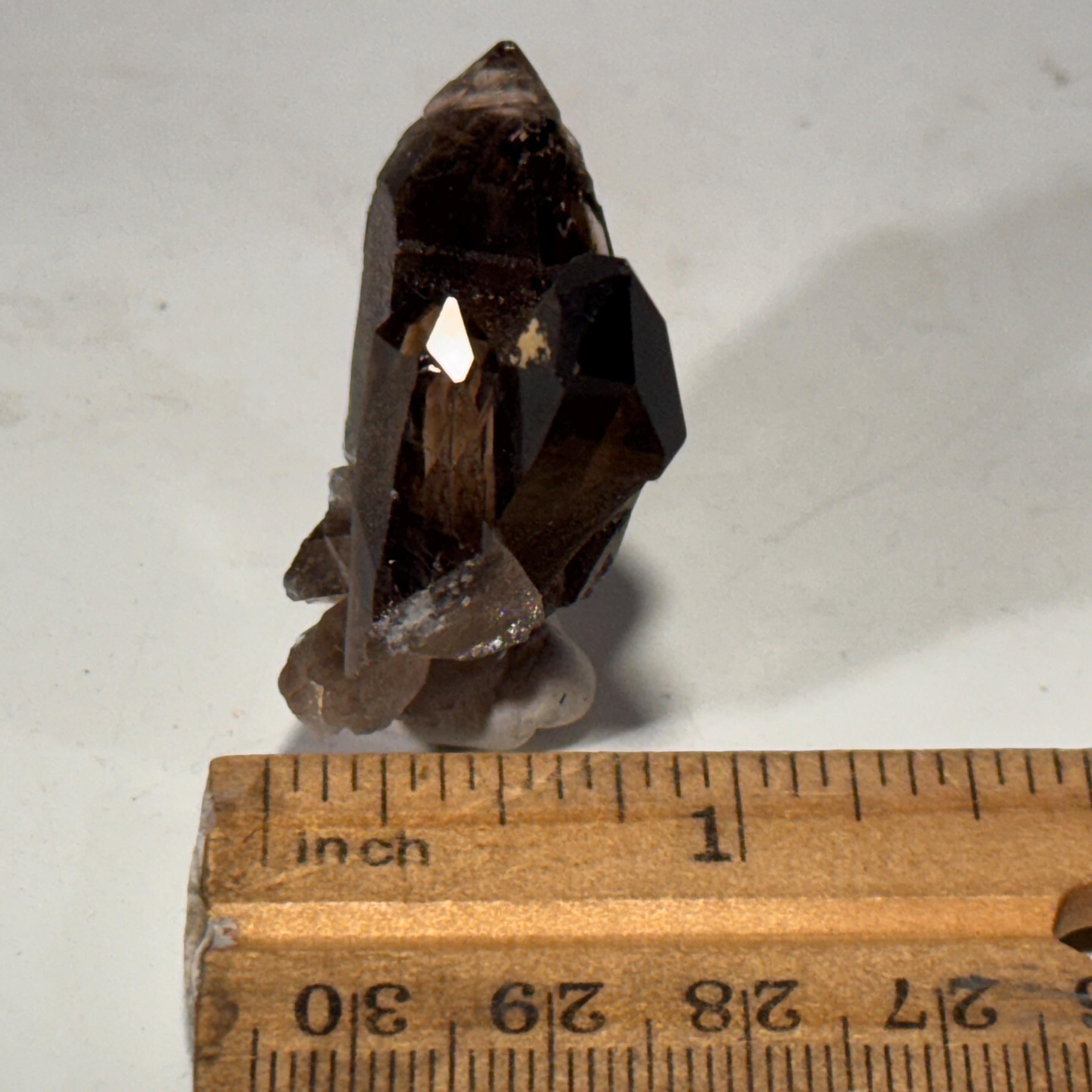 [shopname] - Small Smoky Quartz Crystal, rock decor