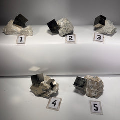 [shopname] - Medium size Pyrite cube crystals in Matrix, rock decor