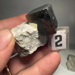 [shopname] - Medium size Pyrite cube crystals in Matrix, rock decor