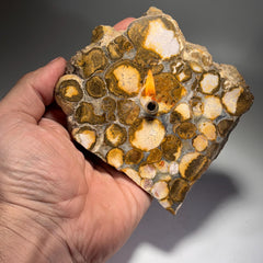 [shopname] - Rock Candle - Spotted Agate, rock decor