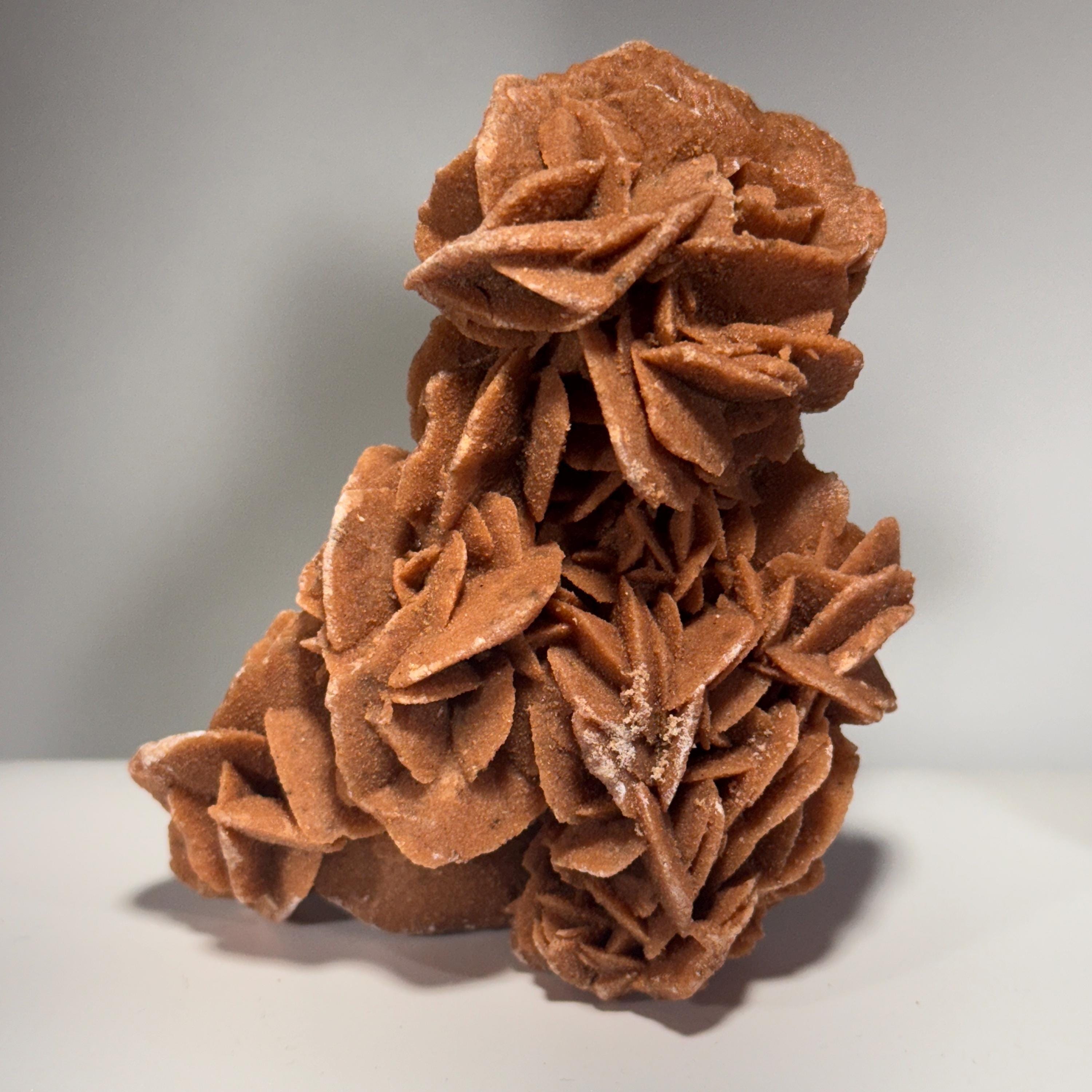 [shopname] - Selenite Desert Rose, rock decor