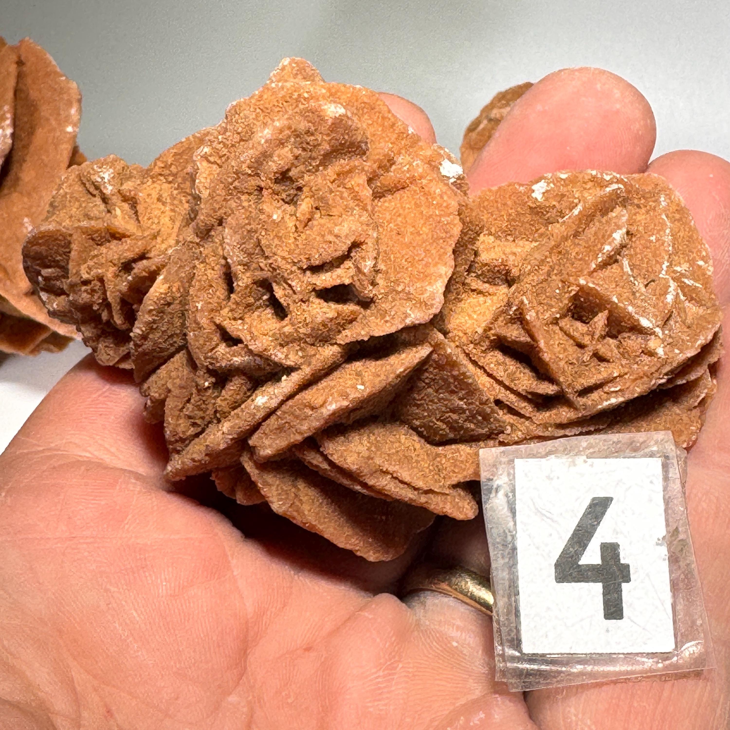 [shopname] - Selenite Desert Rose, rock decor