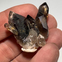 [shopname] - Small Smoky Quartz Crystal, rock decor