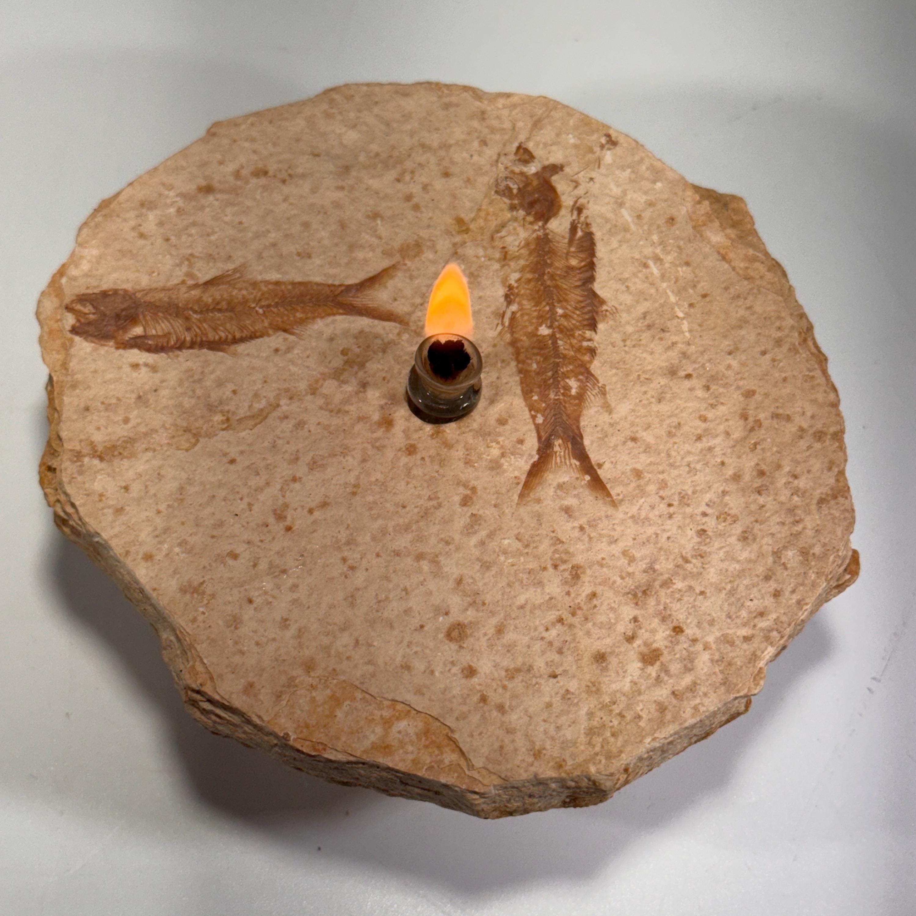 [shopname] - Rock Candle, Wyoming Fish Fossil | Rustic Table Centerpiece,, rock decor