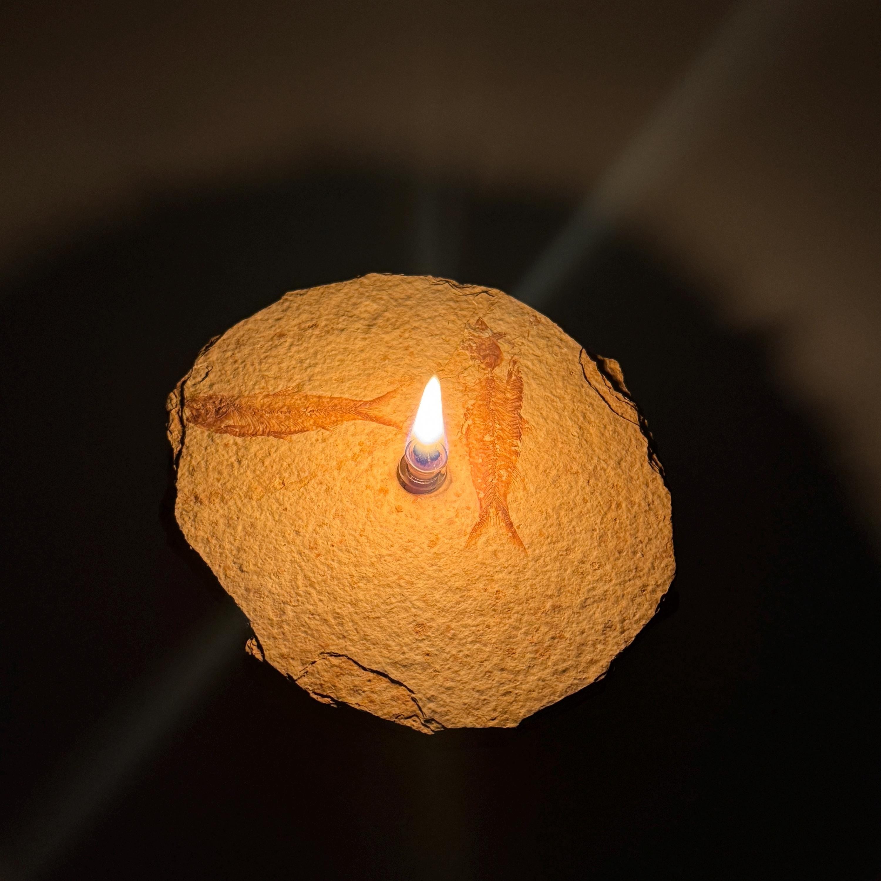 [shopname] - Rock Candle, Wyoming Fish Fossil | Rustic Table Centerpiece,, rock decor
