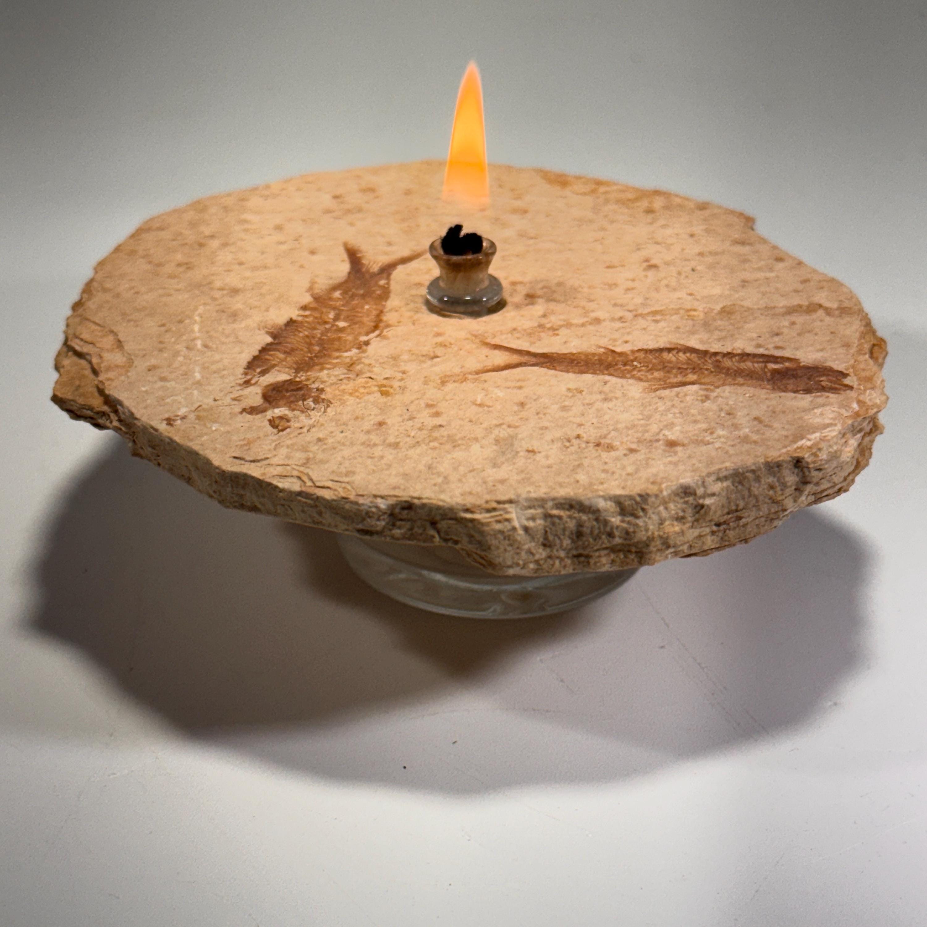 [shopname] - Rock Candle, Wyoming Fish Fossil | Rustic Table Centerpiece,, rock decor