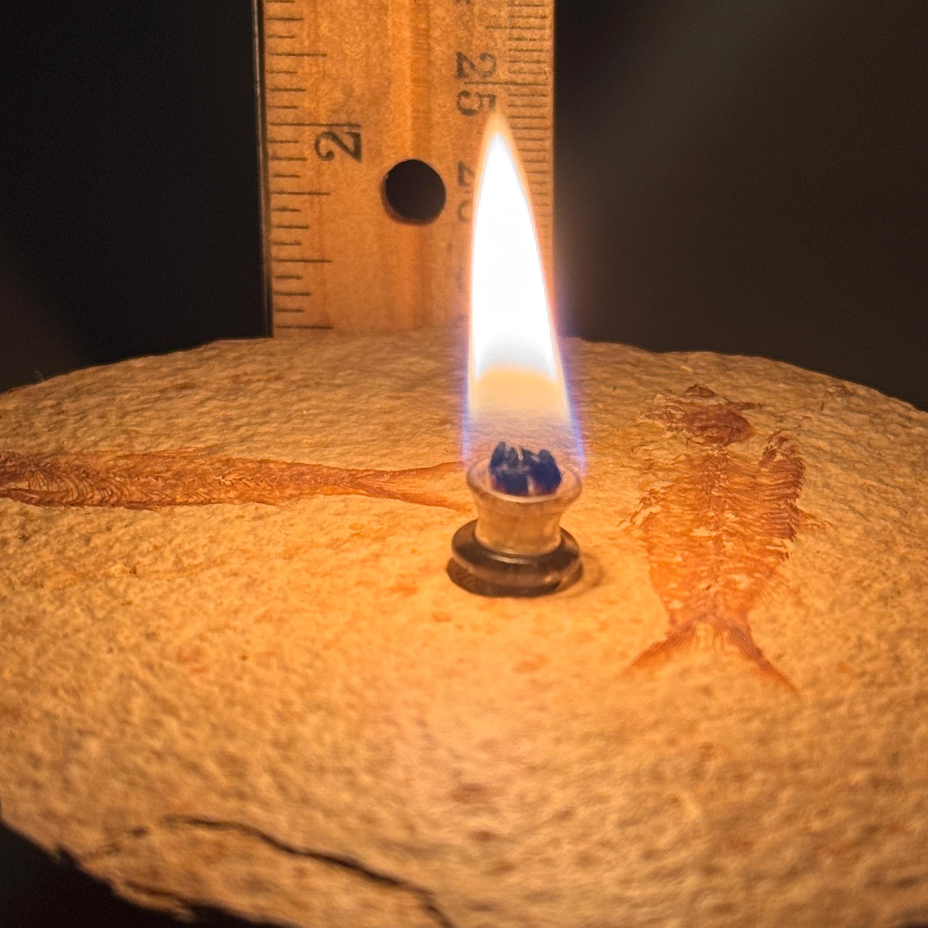 [shopname] - Rock Candle, Wyoming Fish Fossil | Rustic Table Centerpiece,, rock decor