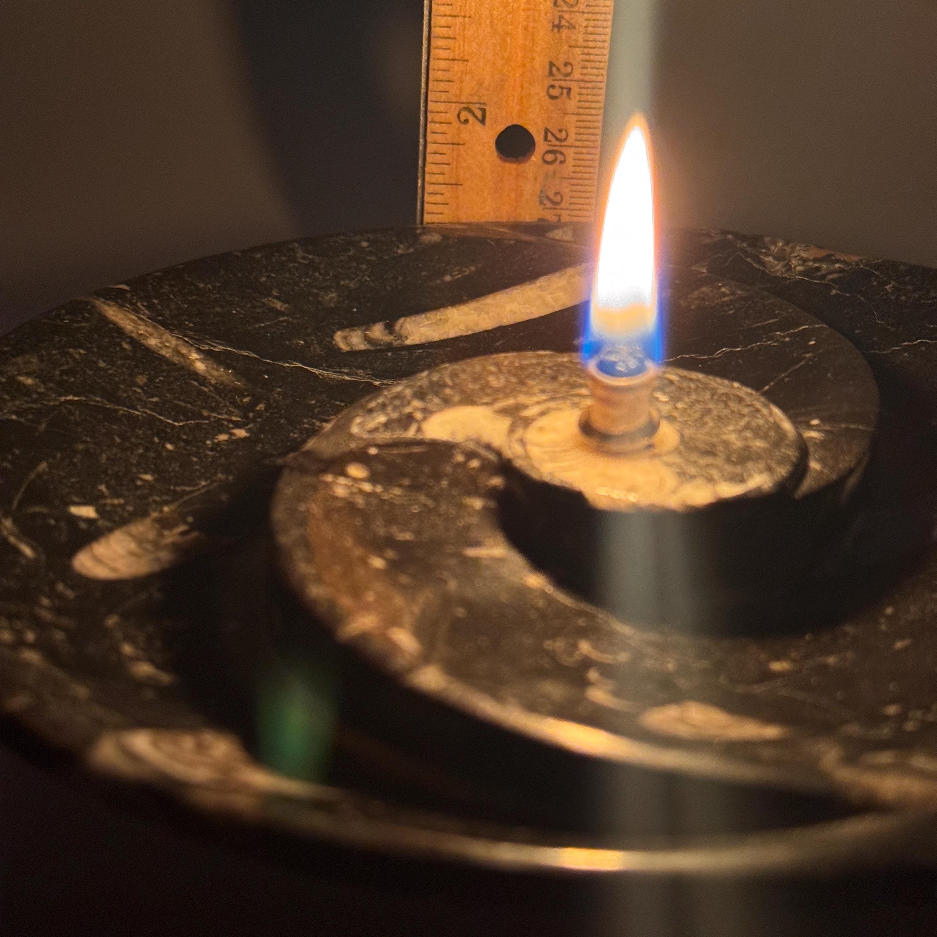 [shopname] - Rock oil Candle - Orthoceras fossil bowl | unique use of a Moroccan fossil, rock decor