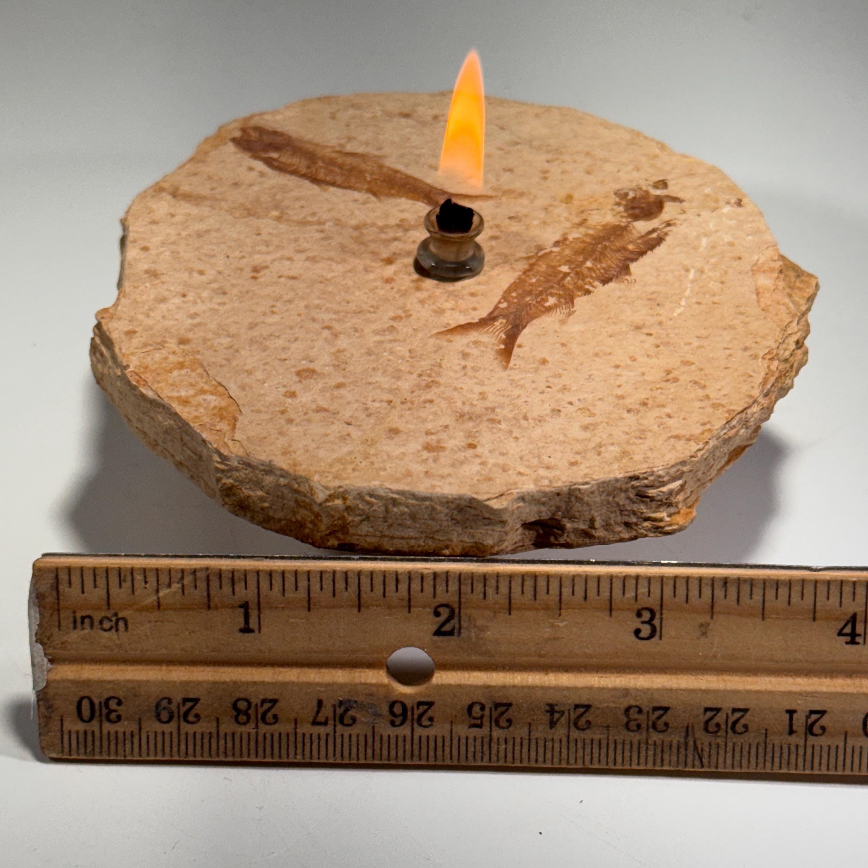 [shopname] - Rock Candle, Wyoming Fish Fossil | Rustic Table Centerpiece,, rock decor