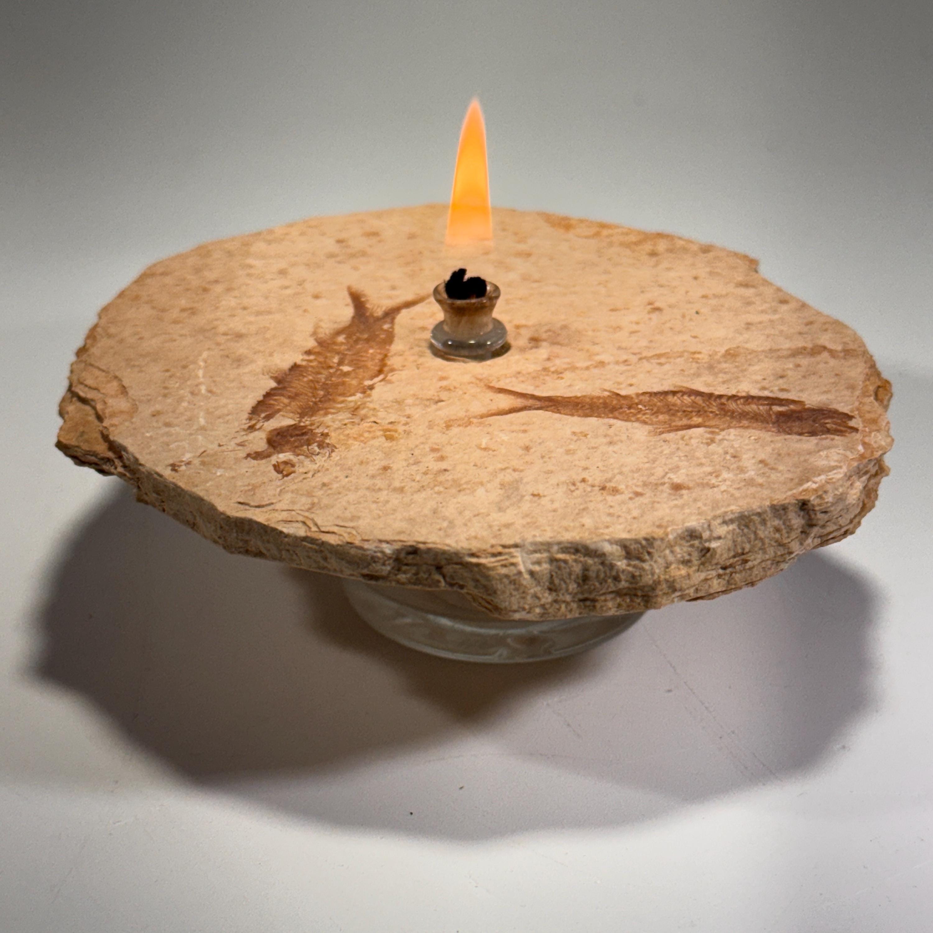 [shopname] - Rock Candle, Wyoming Fish Fossil | Rustic Table Centerpiece,, rock decor