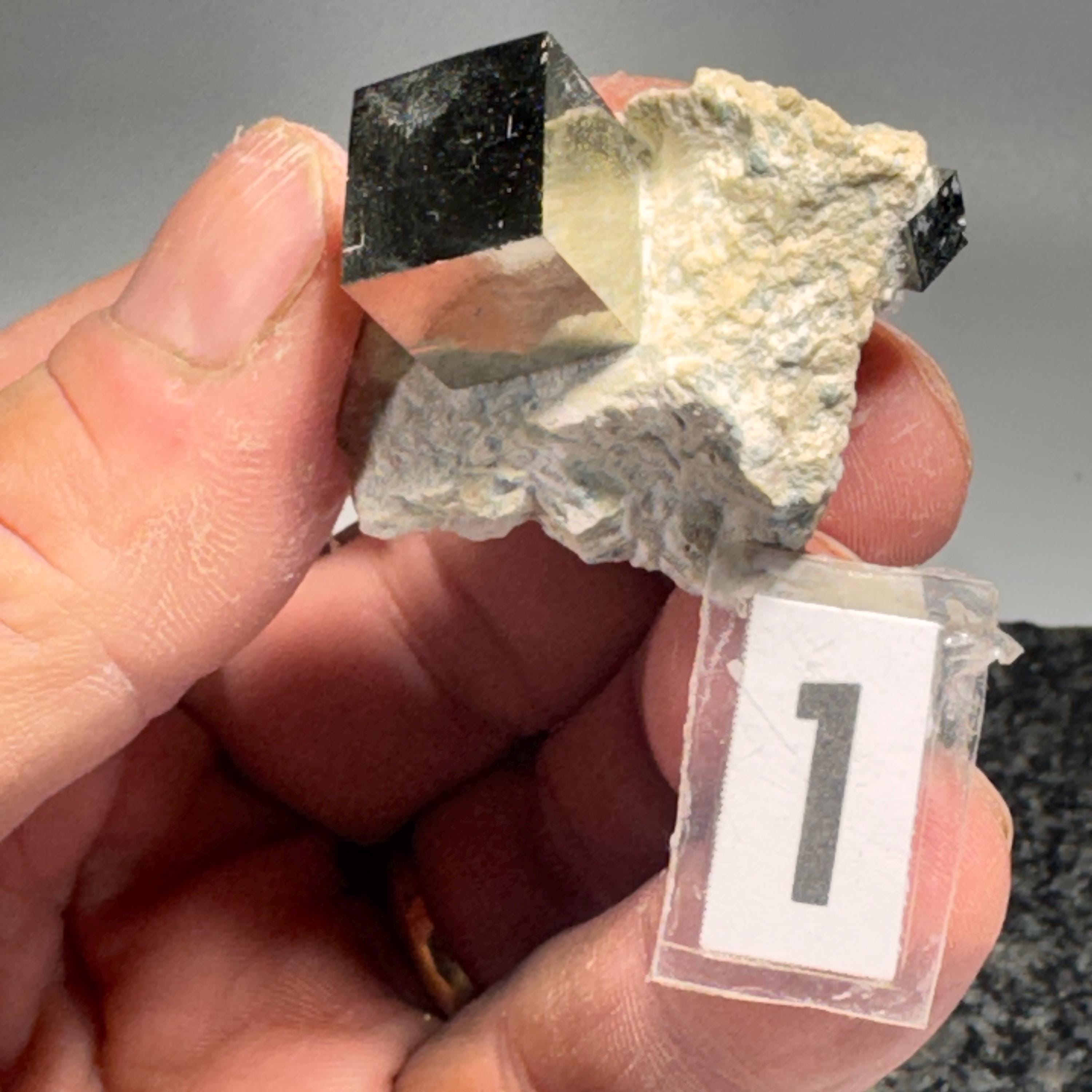 [shopname] - Pyrite cube cluster in matrix, rock decor
