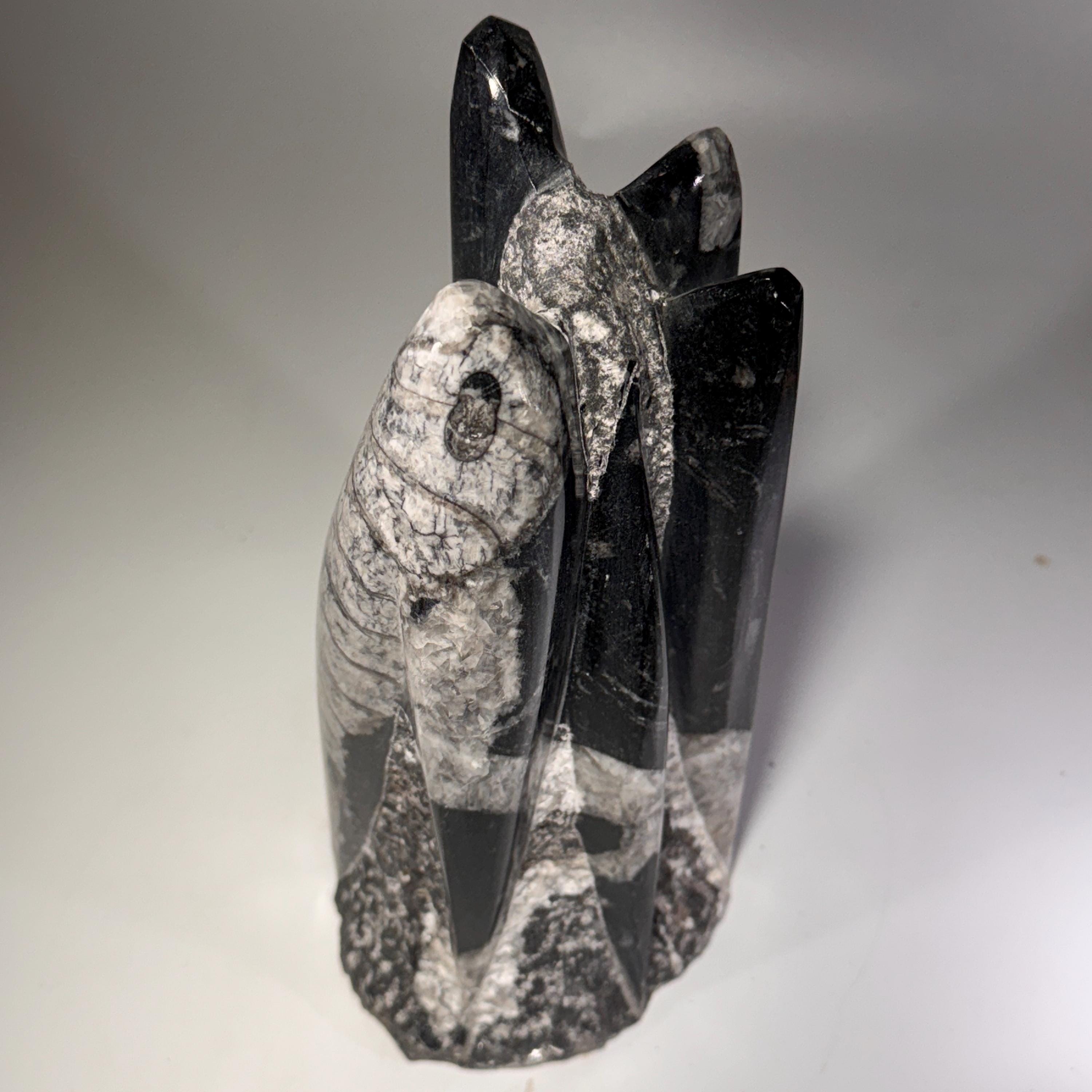 [shopname] - Orthoceras Fossil Tower, rock decor