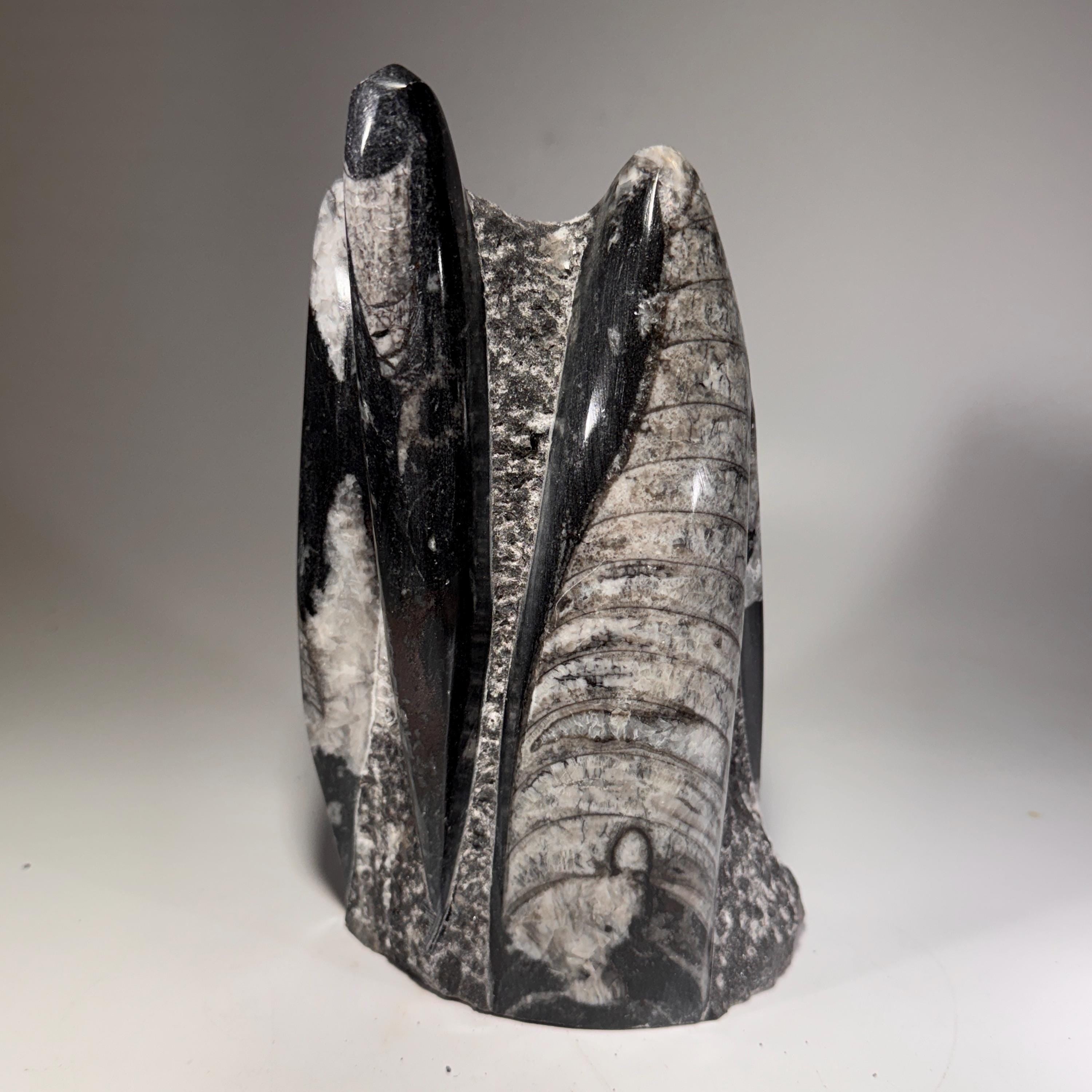 [shopname] - Orthoceras Fossil Tower, rock decor