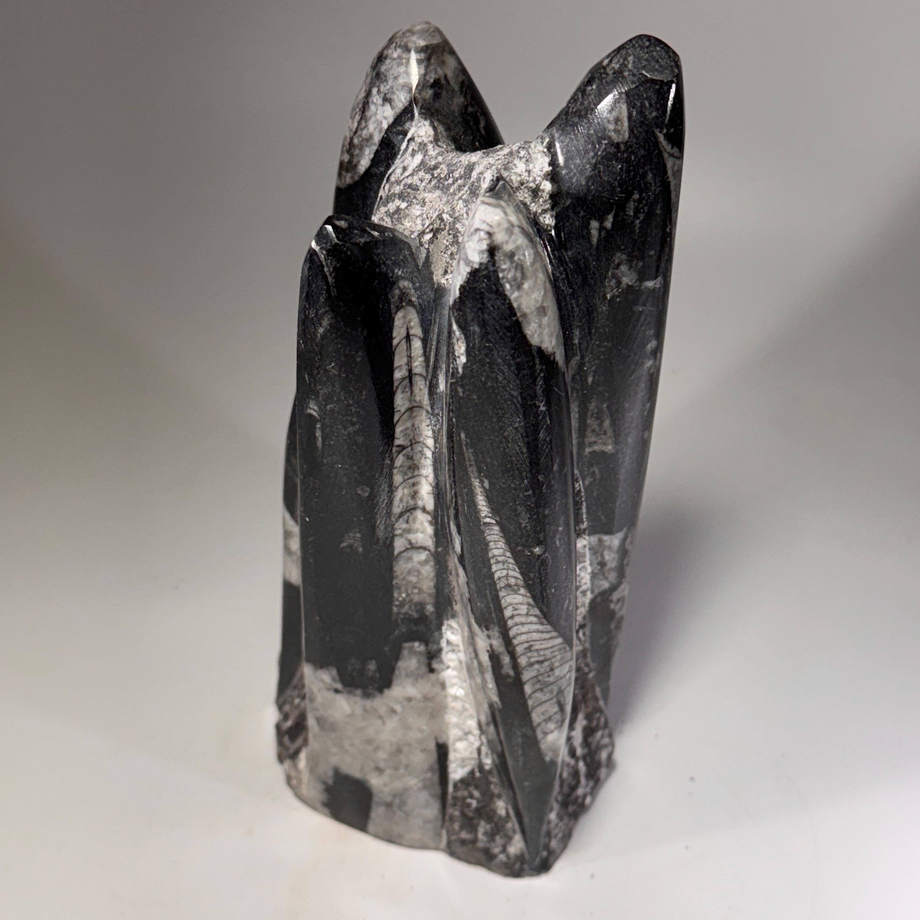 [shopname] - Orthoceras Fossil Tower, rock decor