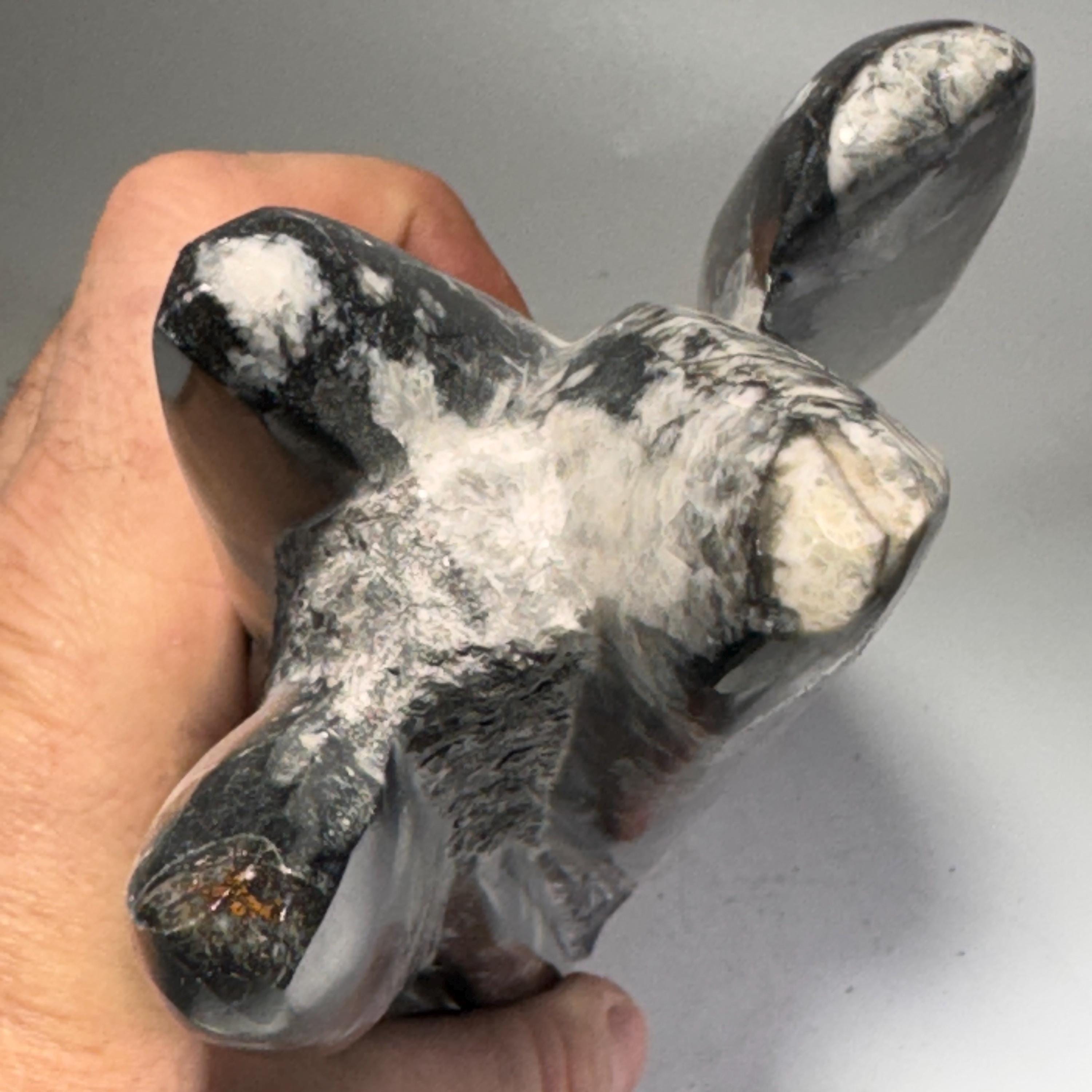 [shopname] - Orthoceras Fossil Tower, rock decor