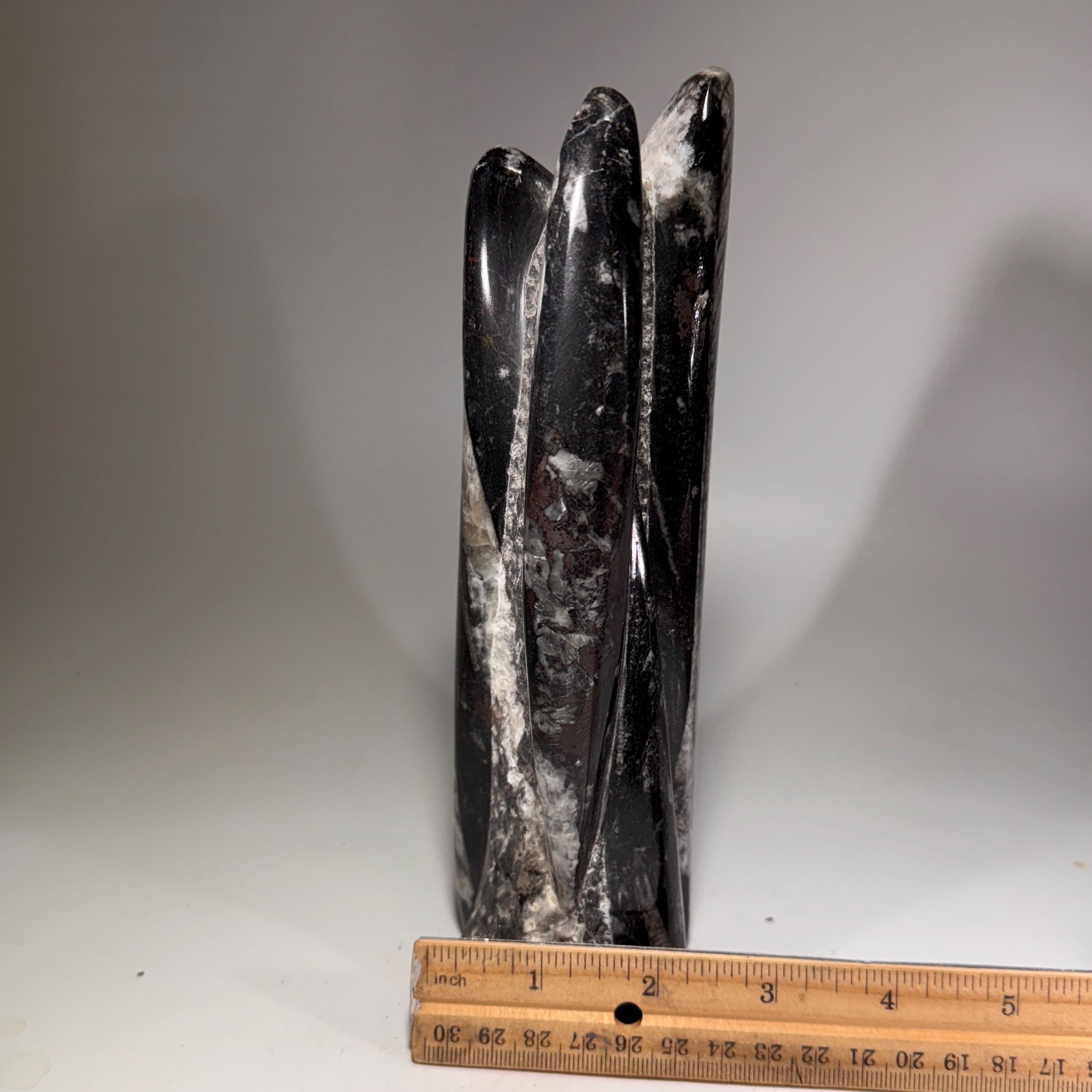 [shopname] - Orthoceras Fossil Tower, rock decor