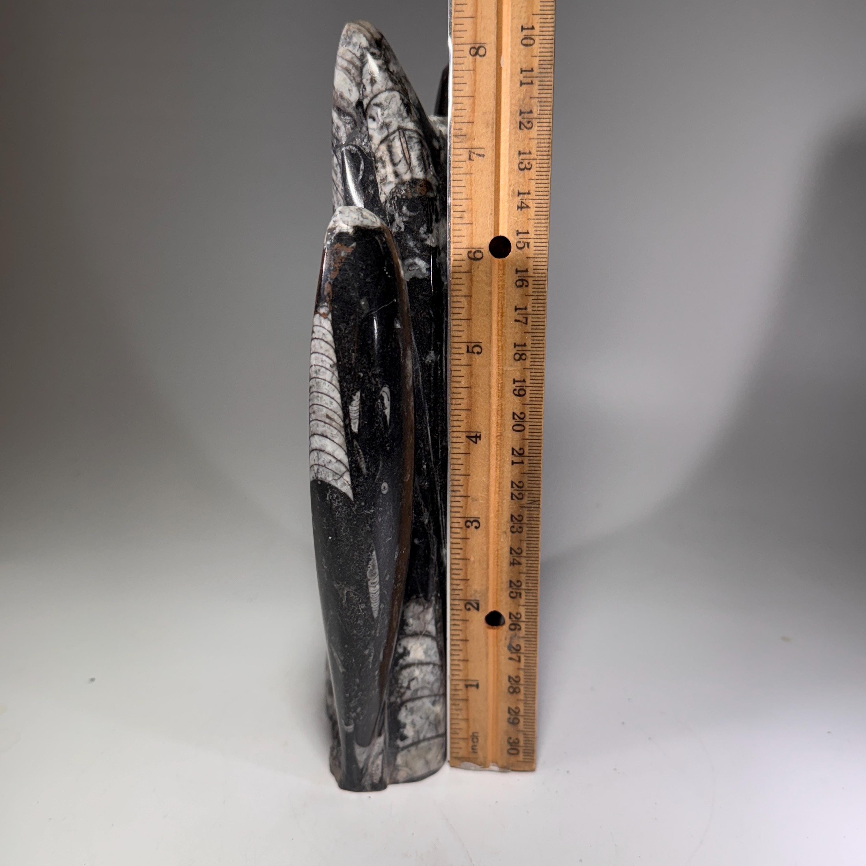 [shopname] - Orthoceras Fossil Tower, rock decor