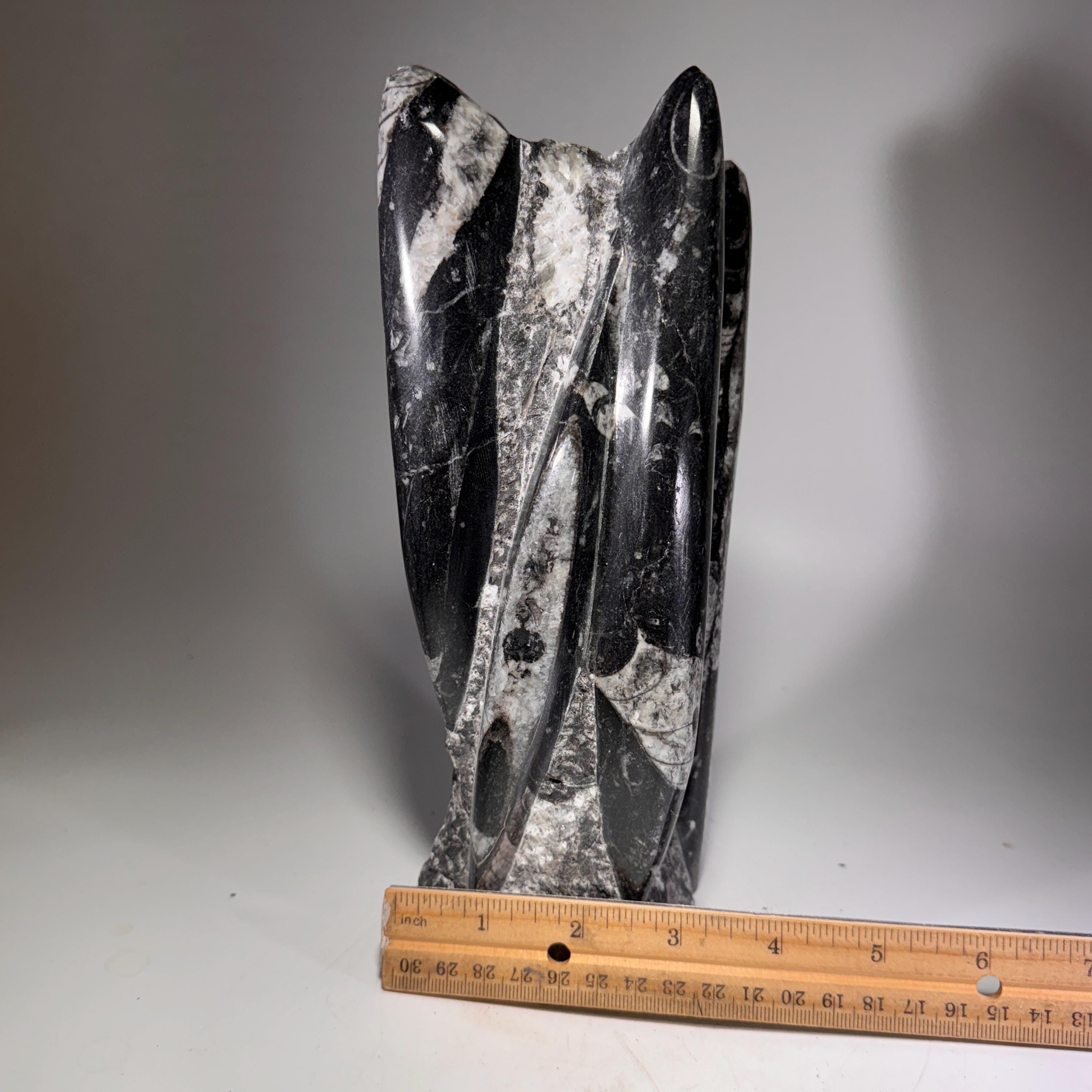 [shopname] - Orthoceras Fossil Tower, rock decor