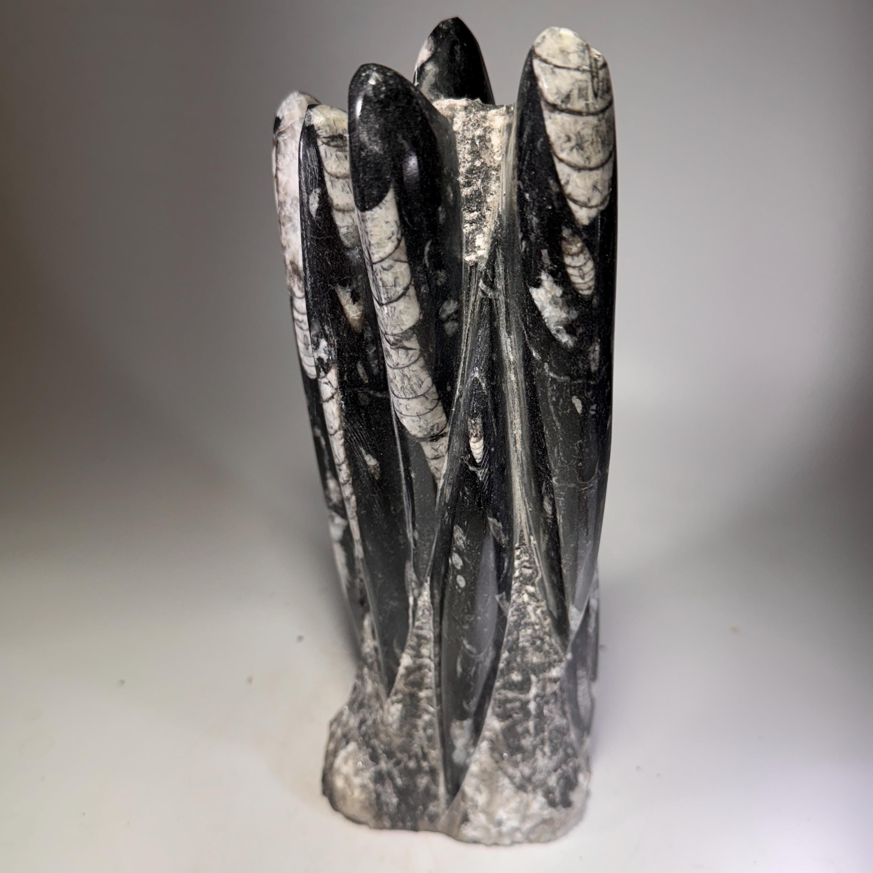 [shopname] - Orthoceras Fossil Tower, rock decor
