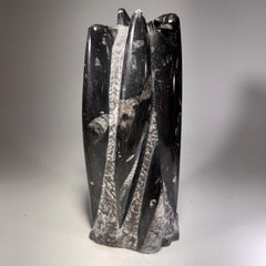 [shopname] - Orthoceras Fossil Tower, rock decor