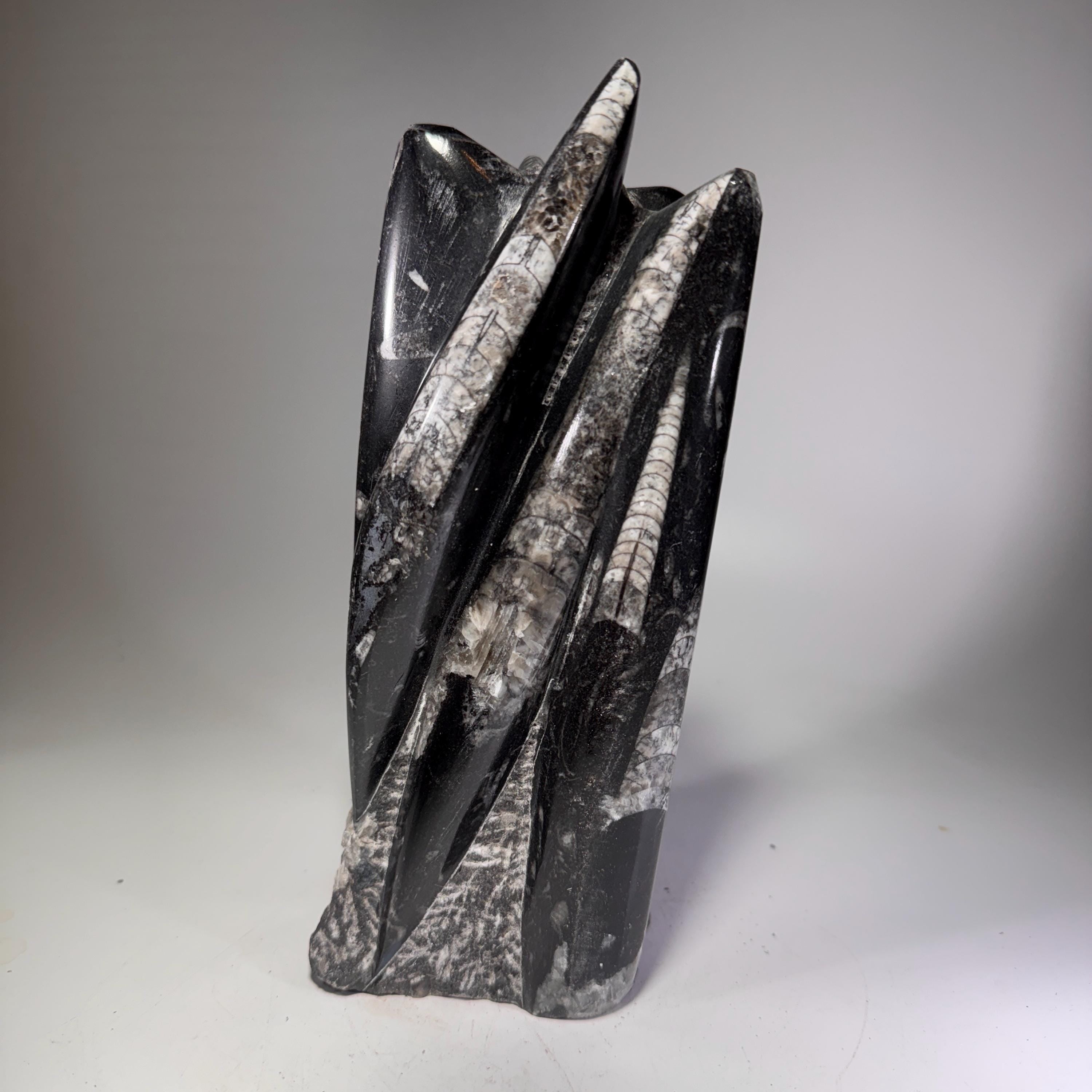 [shopname] - Orthoceras Fossil Tower, rock decor