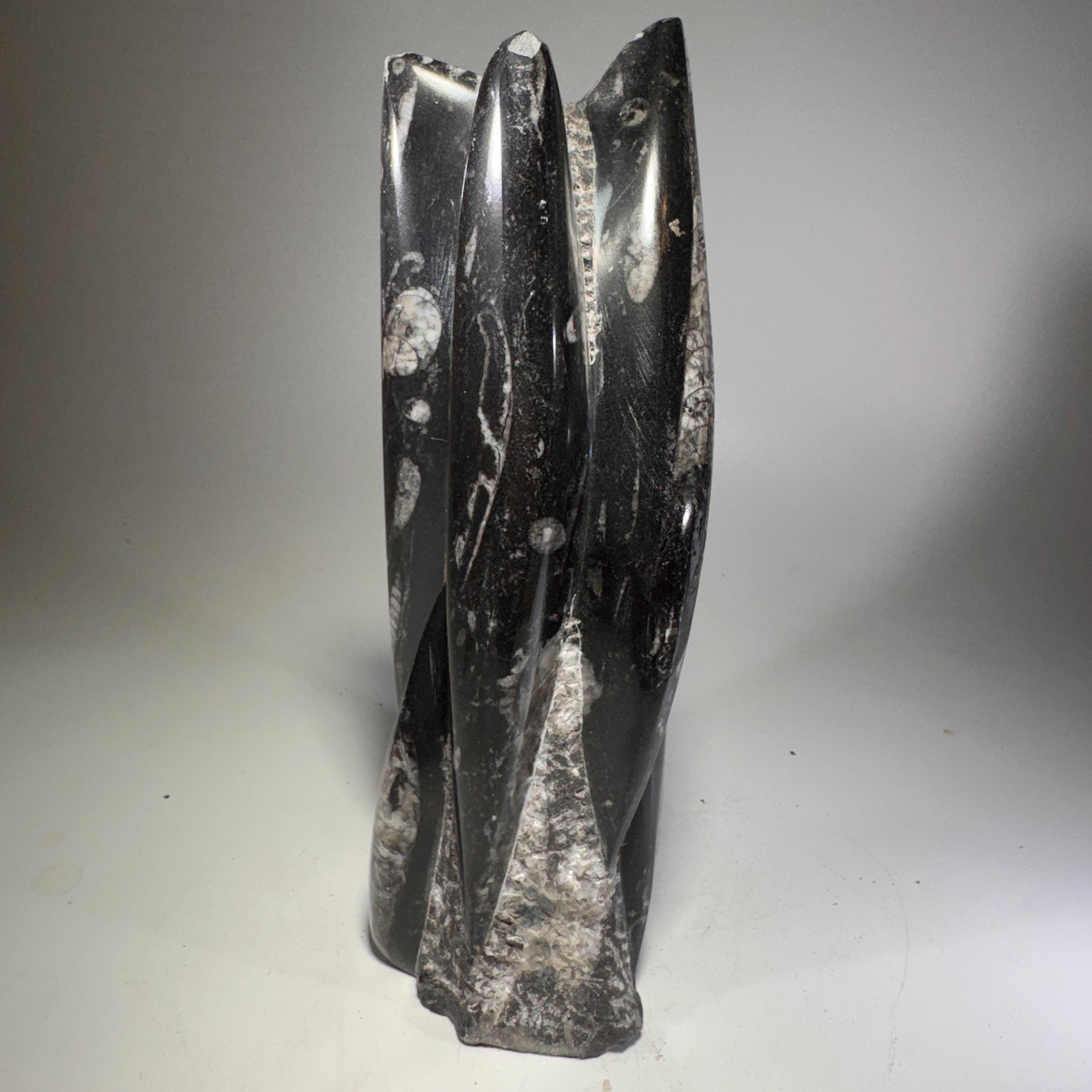 [shopname] - Orthoceras Fossil Tower, rock decor