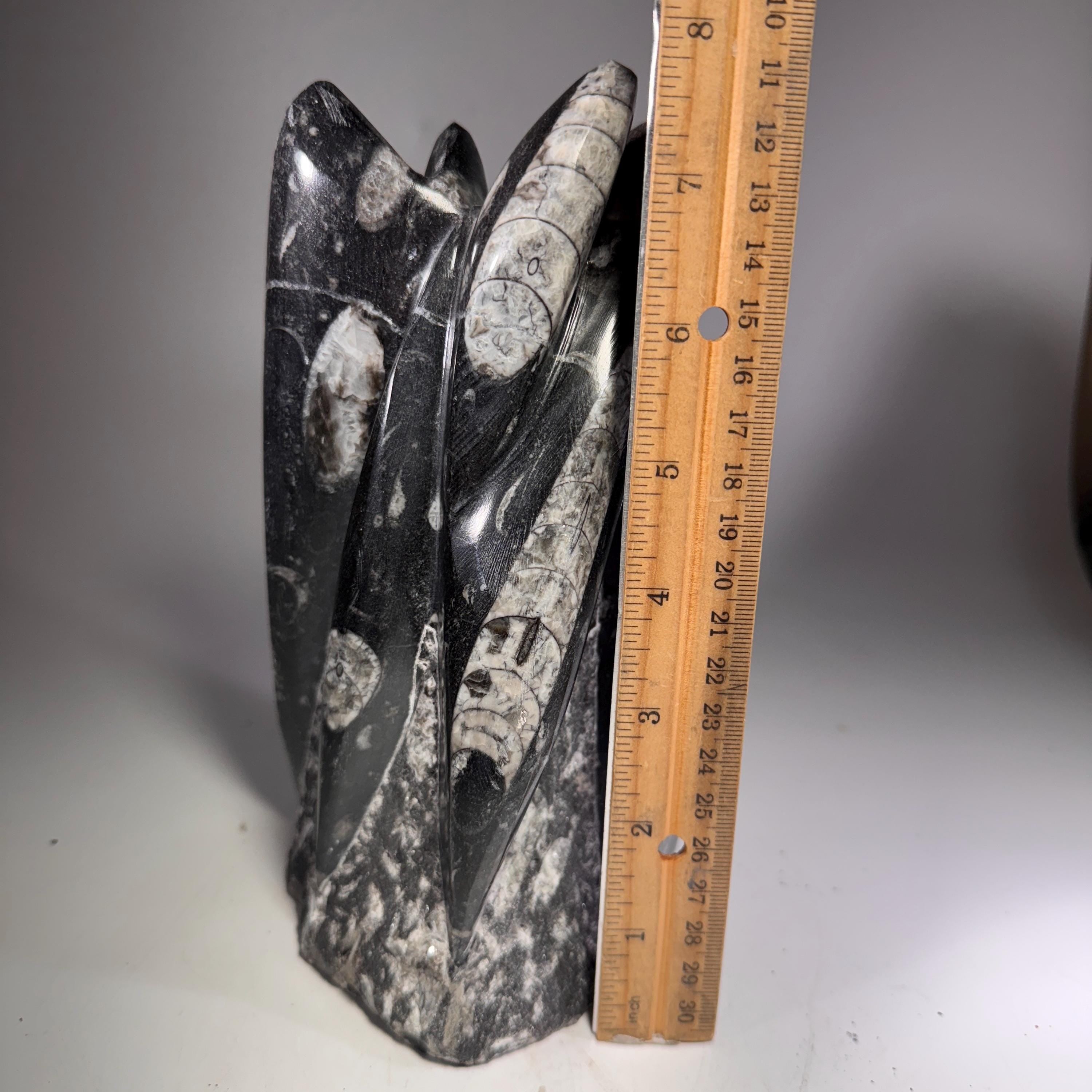 [shopname] - Orthoceras Fossil Tower, rock decor
