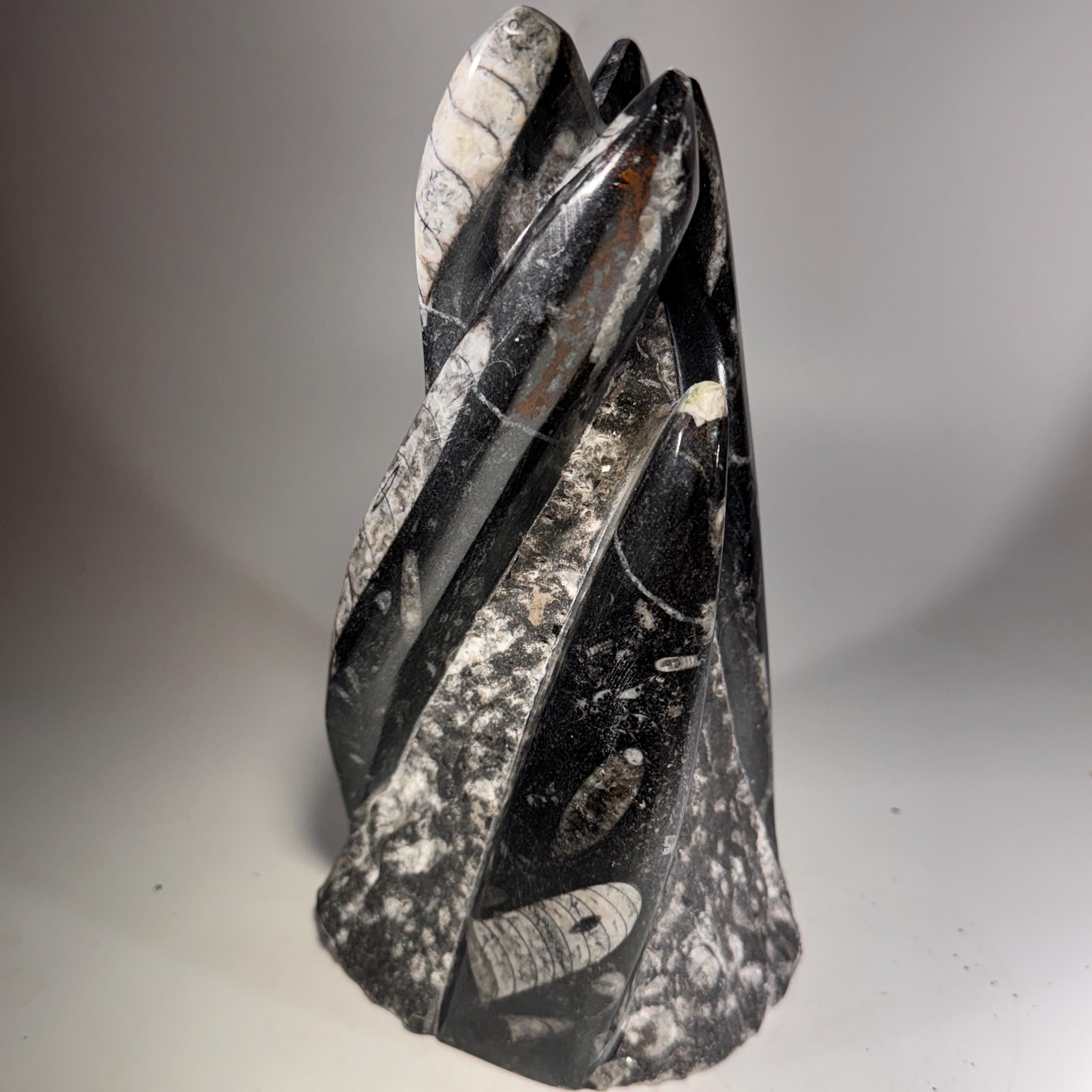 [shopname] - Orthoceras Fossil Tower, rock decor