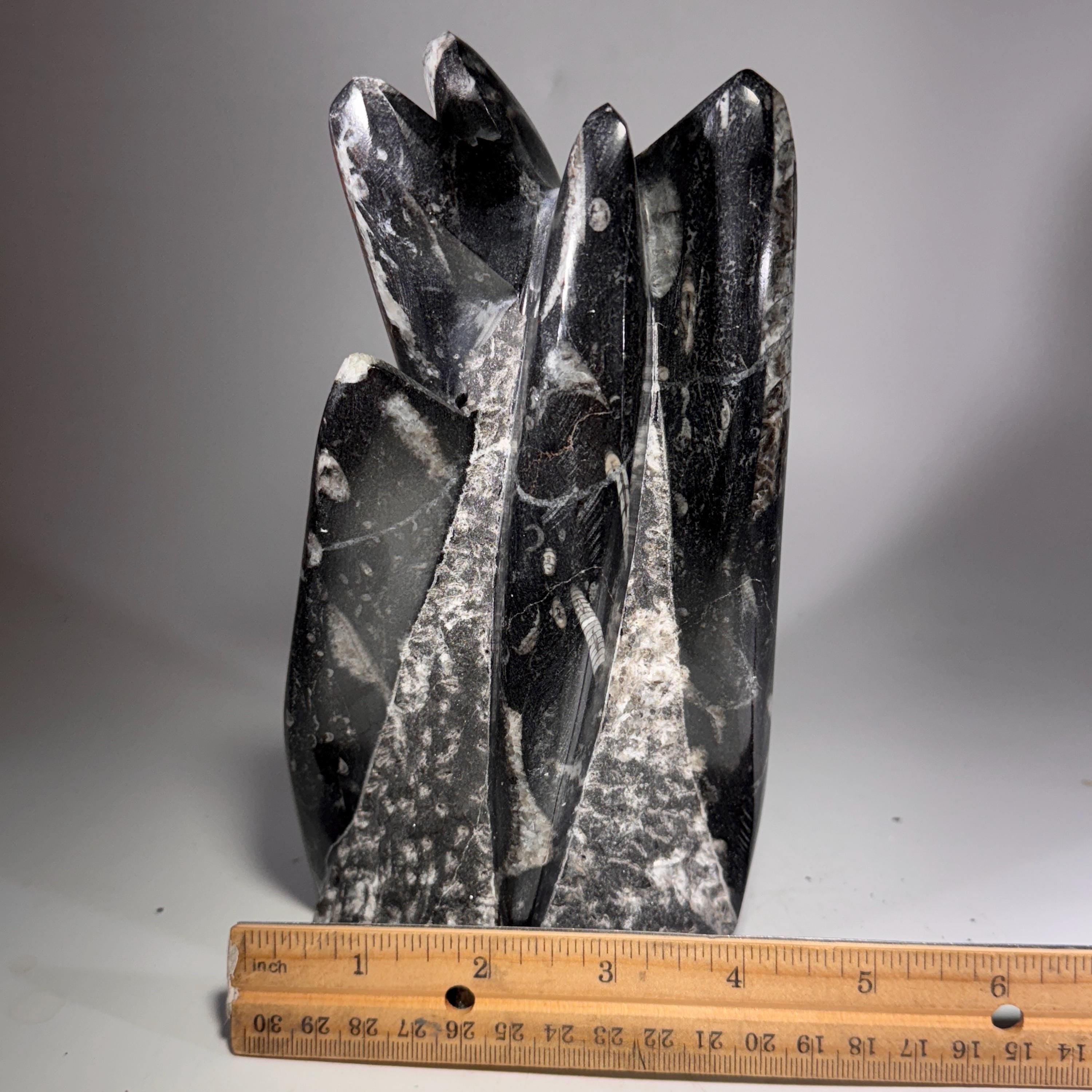 [shopname] - Orthoceras Fossil Tower, rock decor