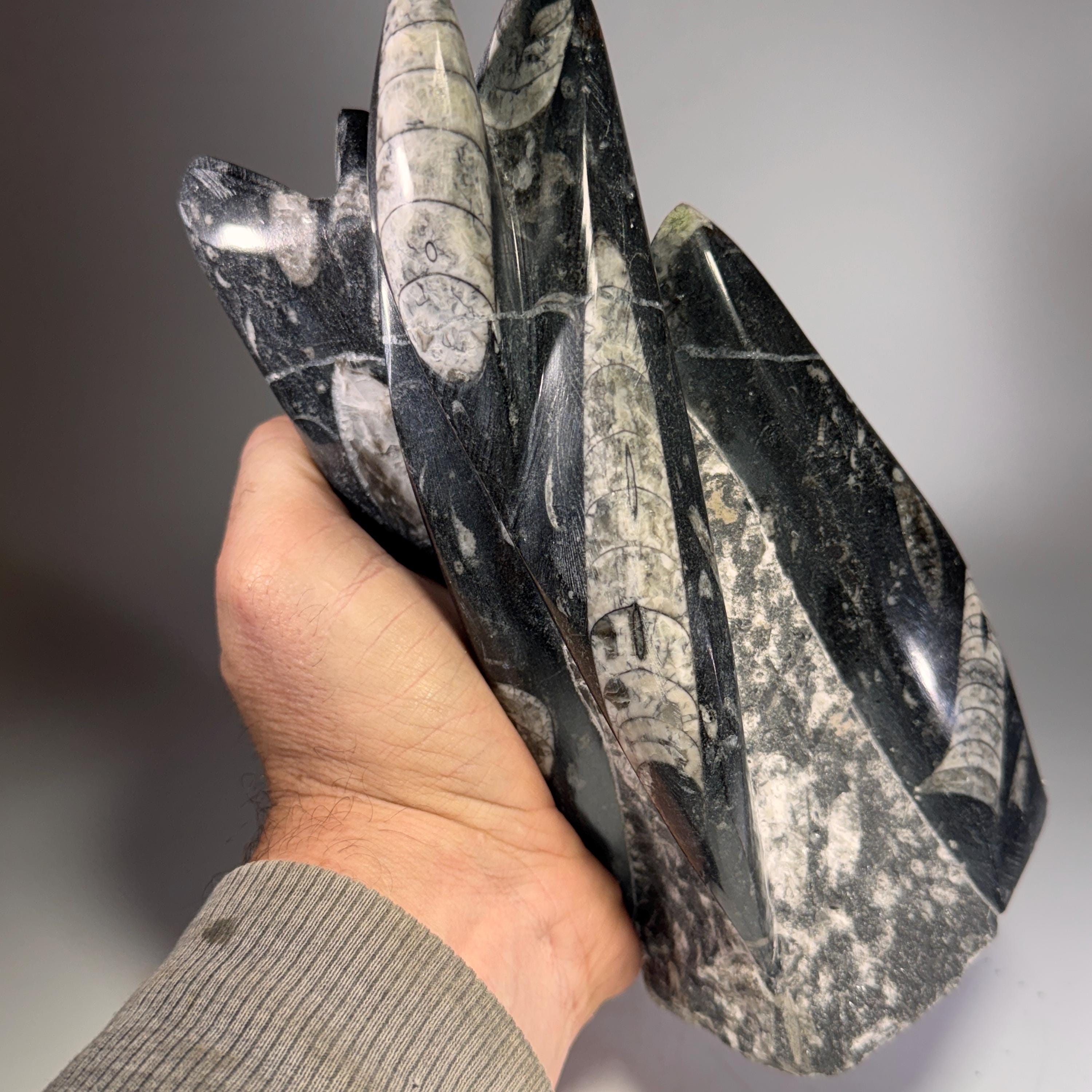 [shopname] - Orthoceras Fossil Tower, rock decor