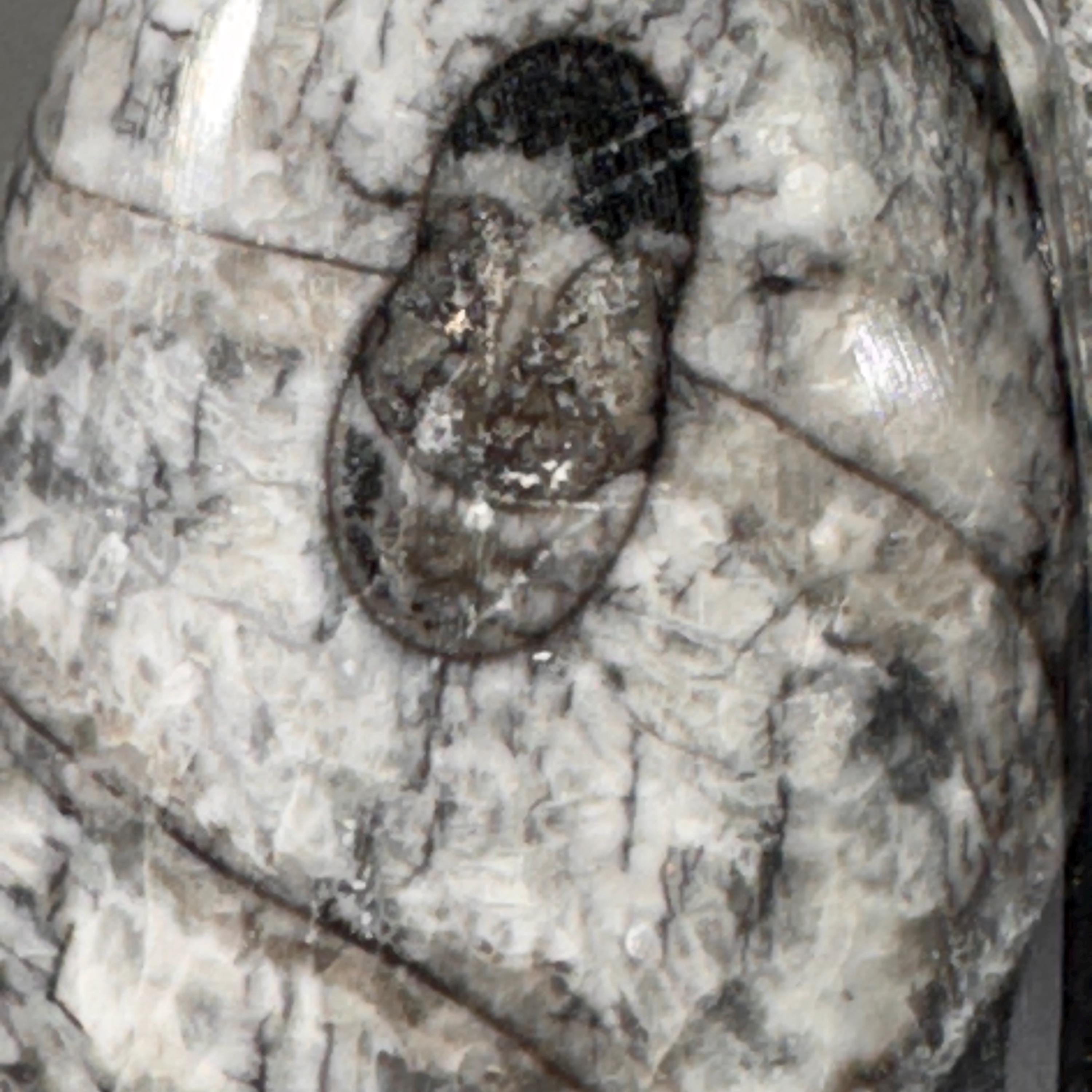 [shopname] - Orthoceras Fossil Tower, rock decor