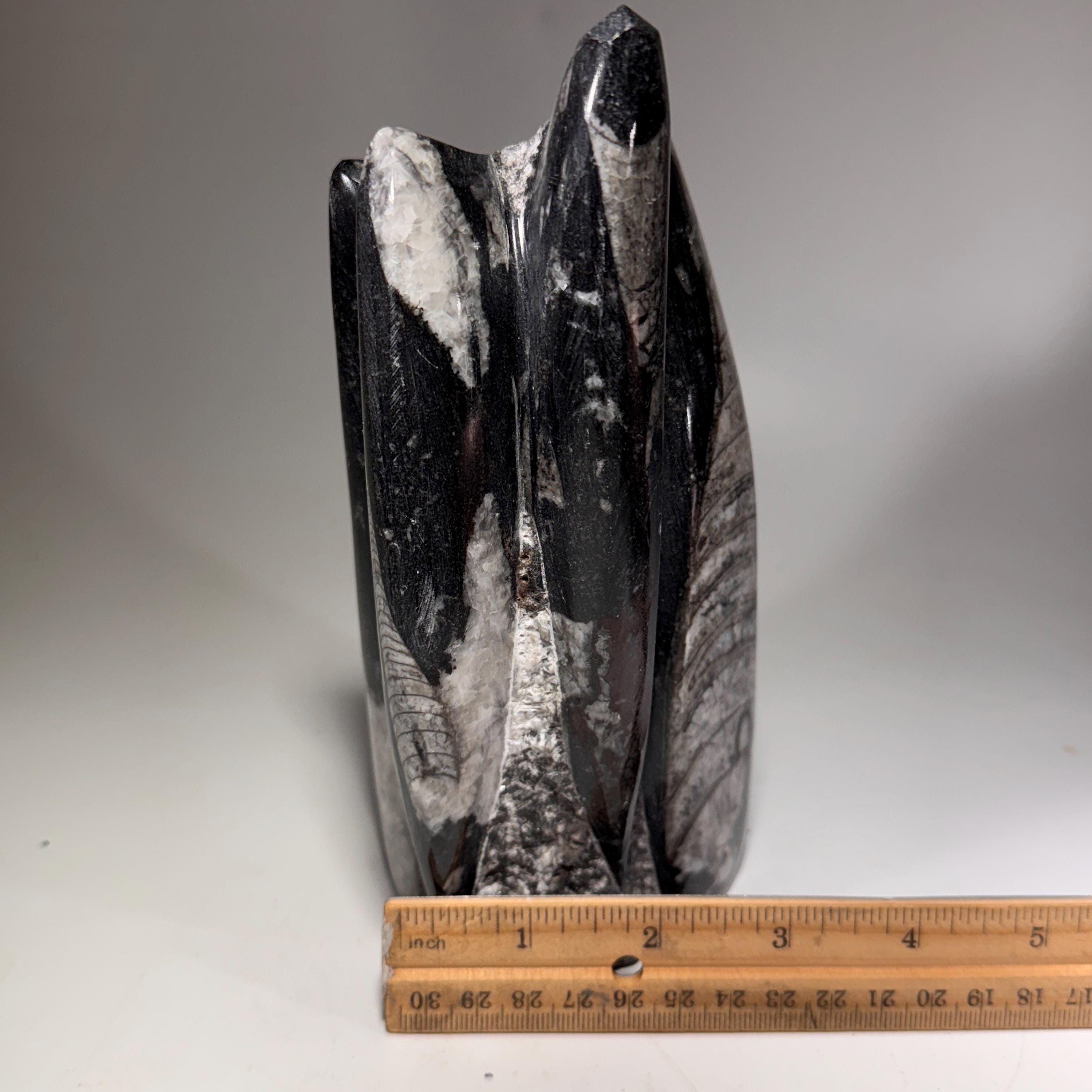 [shopname] - Orthoceras Fossil Tower, rock decor