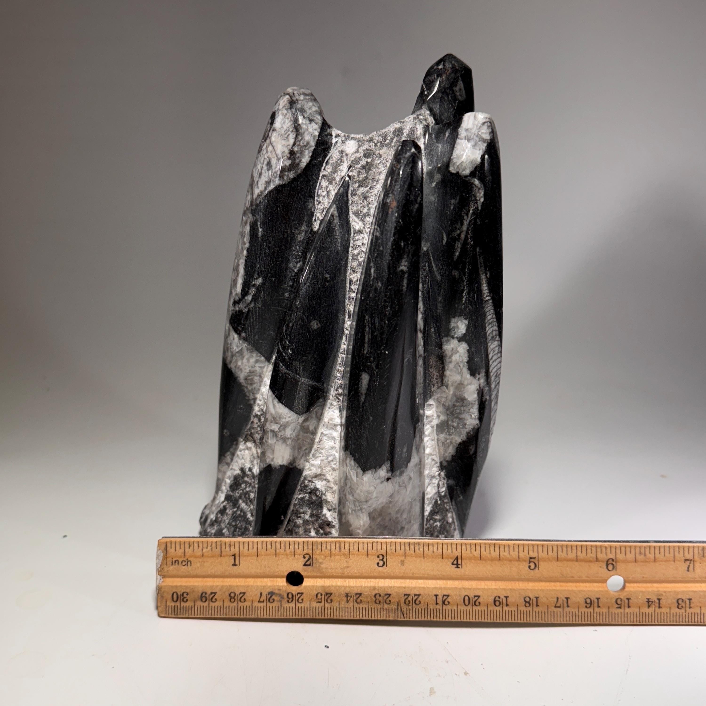 [shopname] - Orthoceras Fossil Tower, rock decor