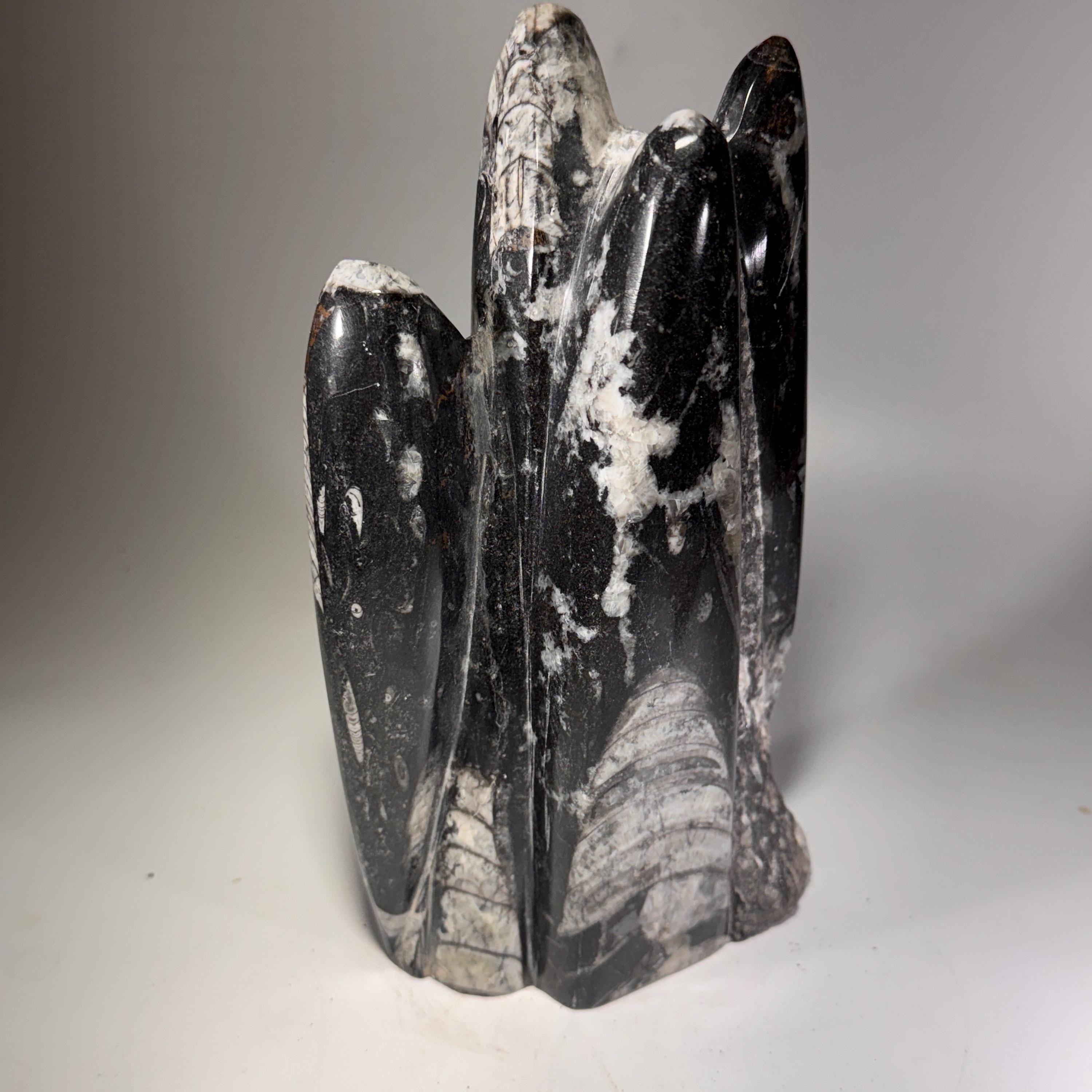 [shopname] - Orthoceras Fossil Tower, rock decor