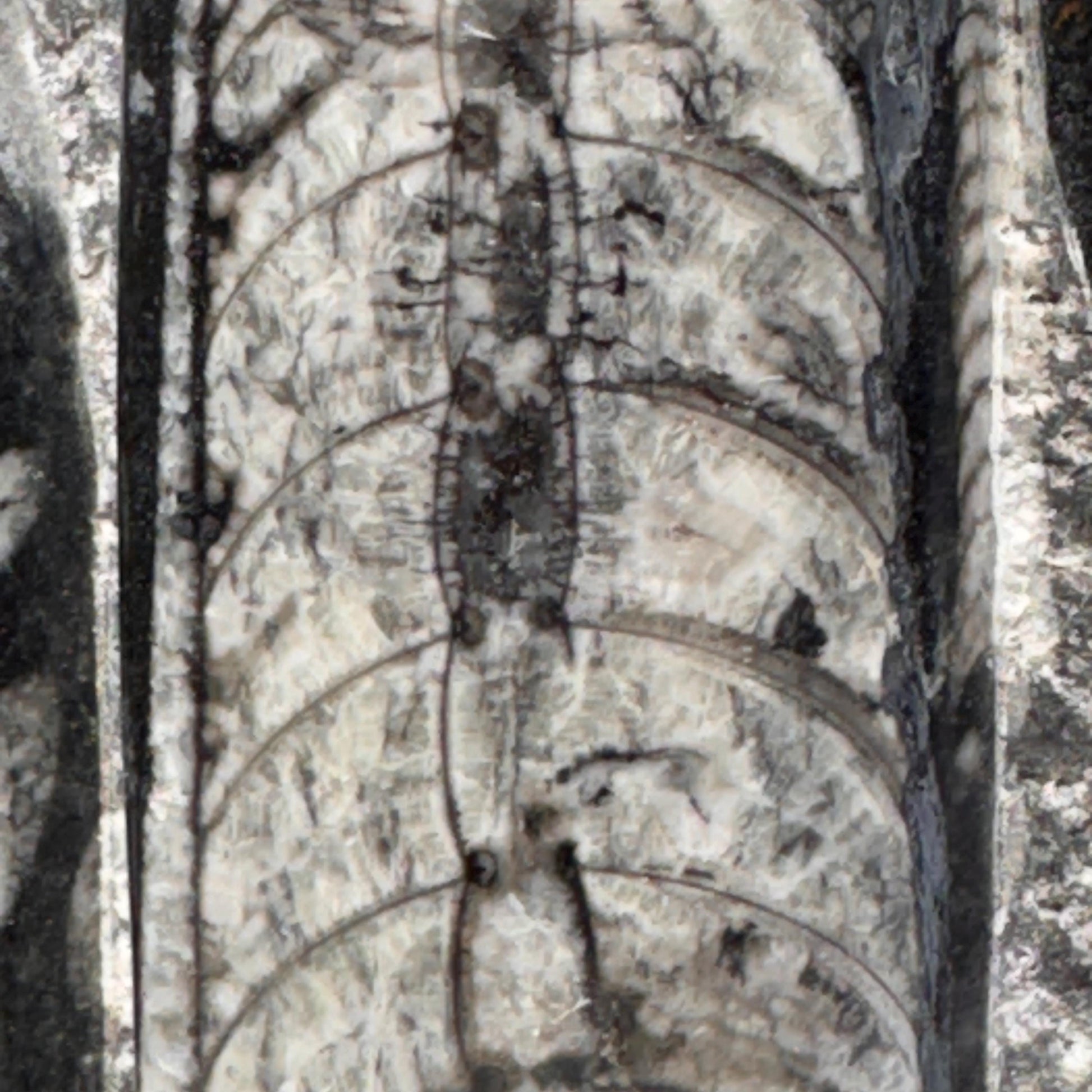 [shopname] - Orthoceras Fossil Tower, rock decor