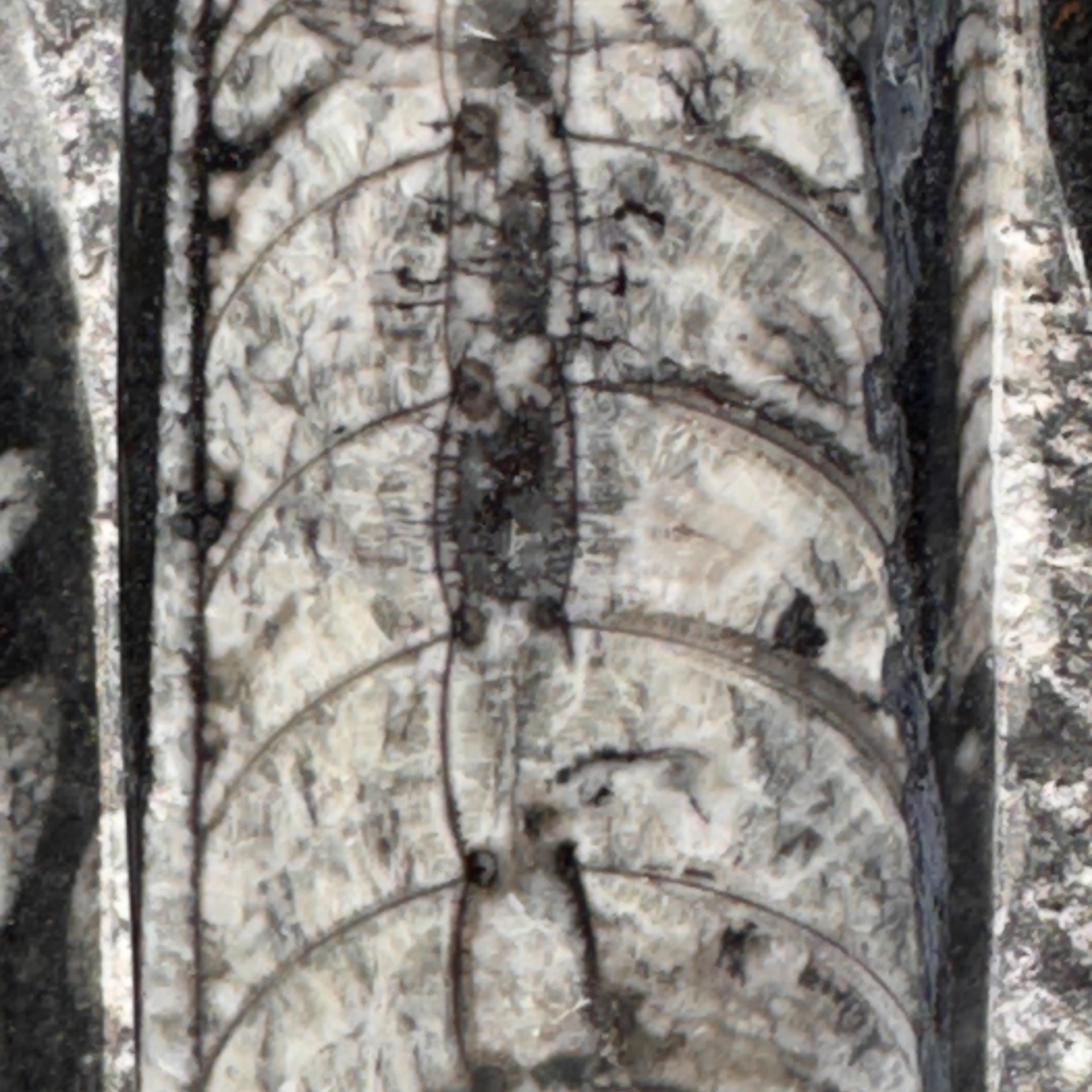 [shopname] - Orthoceras Fossil Tower, rock decor