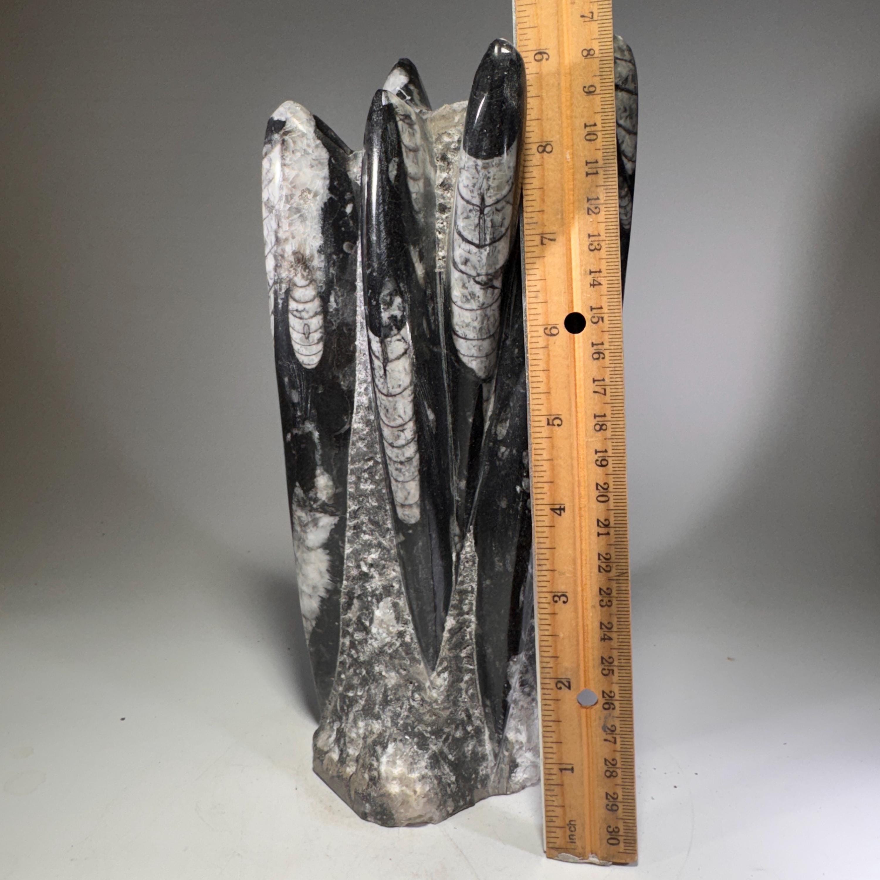 [shopname] - Orthoceras Fossil Tower, rock decor