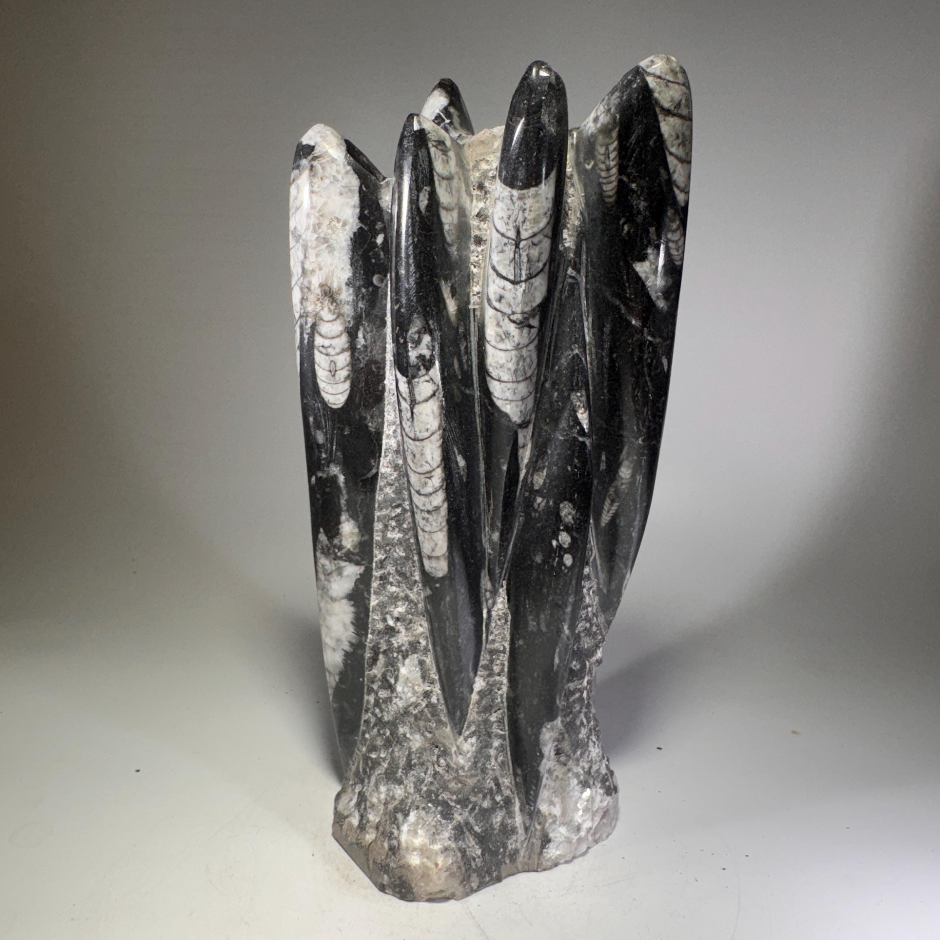[shopname] - Orthoceras Fossil Tower, rock decor