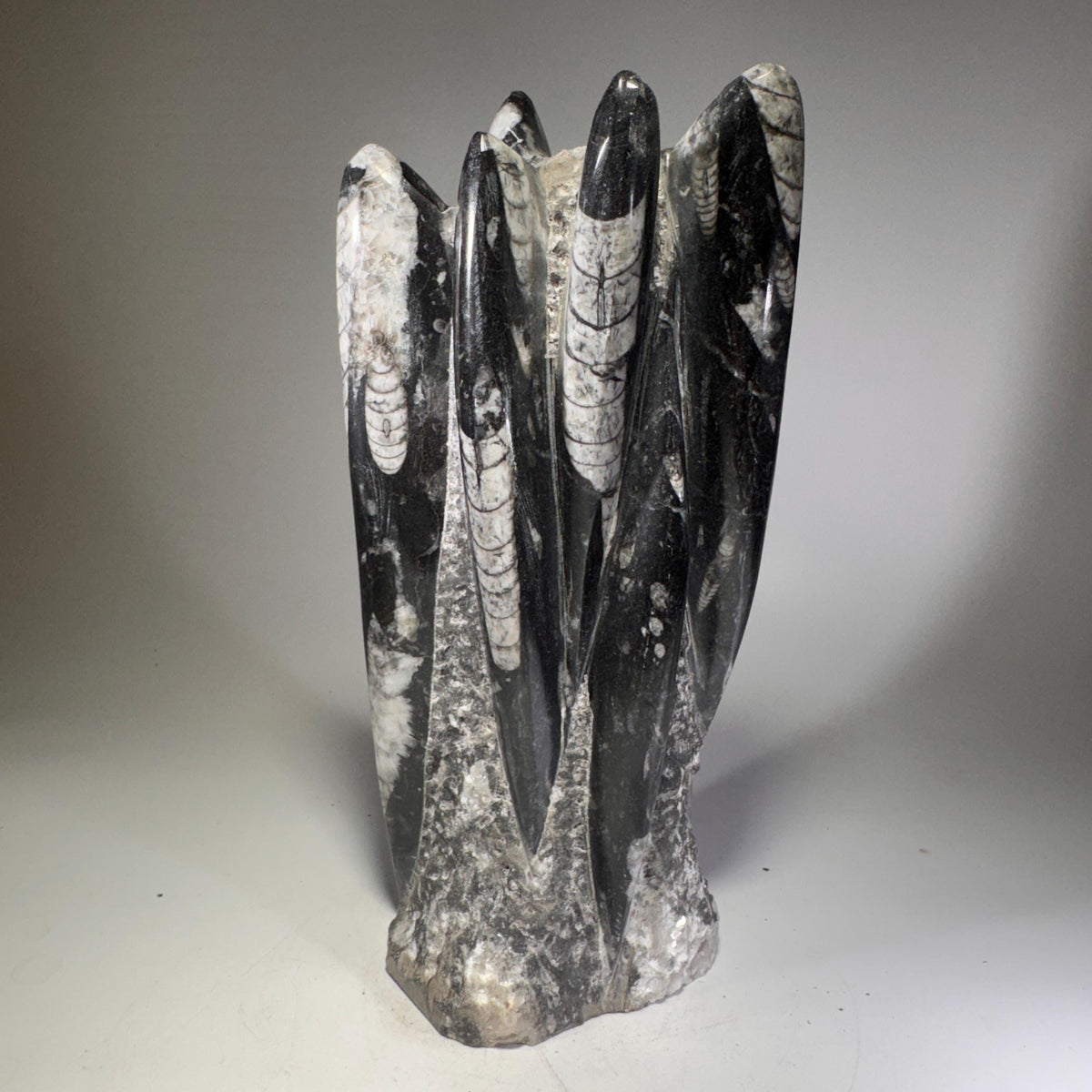 [shopname] - Orthoceras Fossil Tower, rock decor