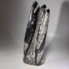 [shopname] - Orthoceras Fossil Tower, rock decor