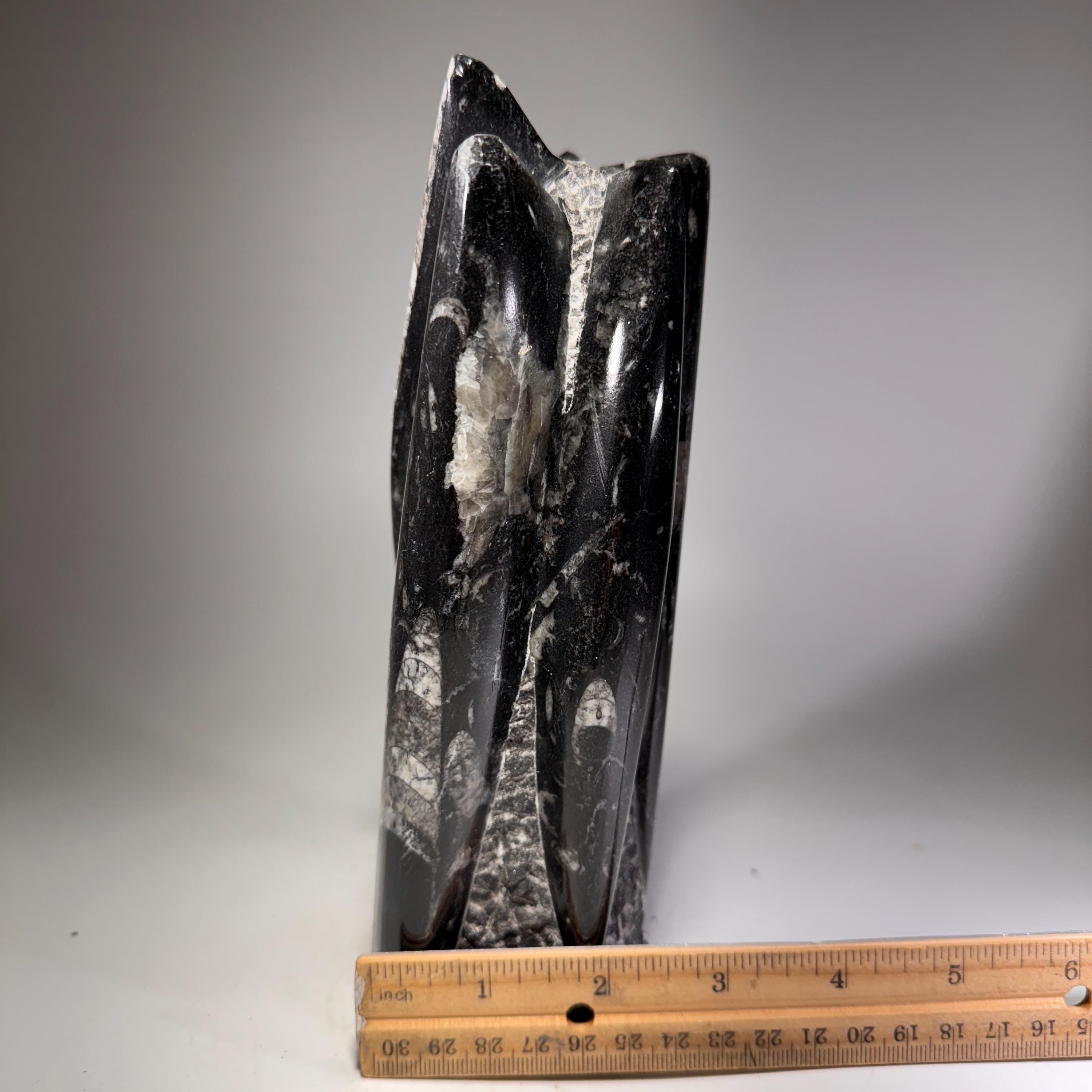 [shopname] - Orthoceras Fossil Tower, rock decor