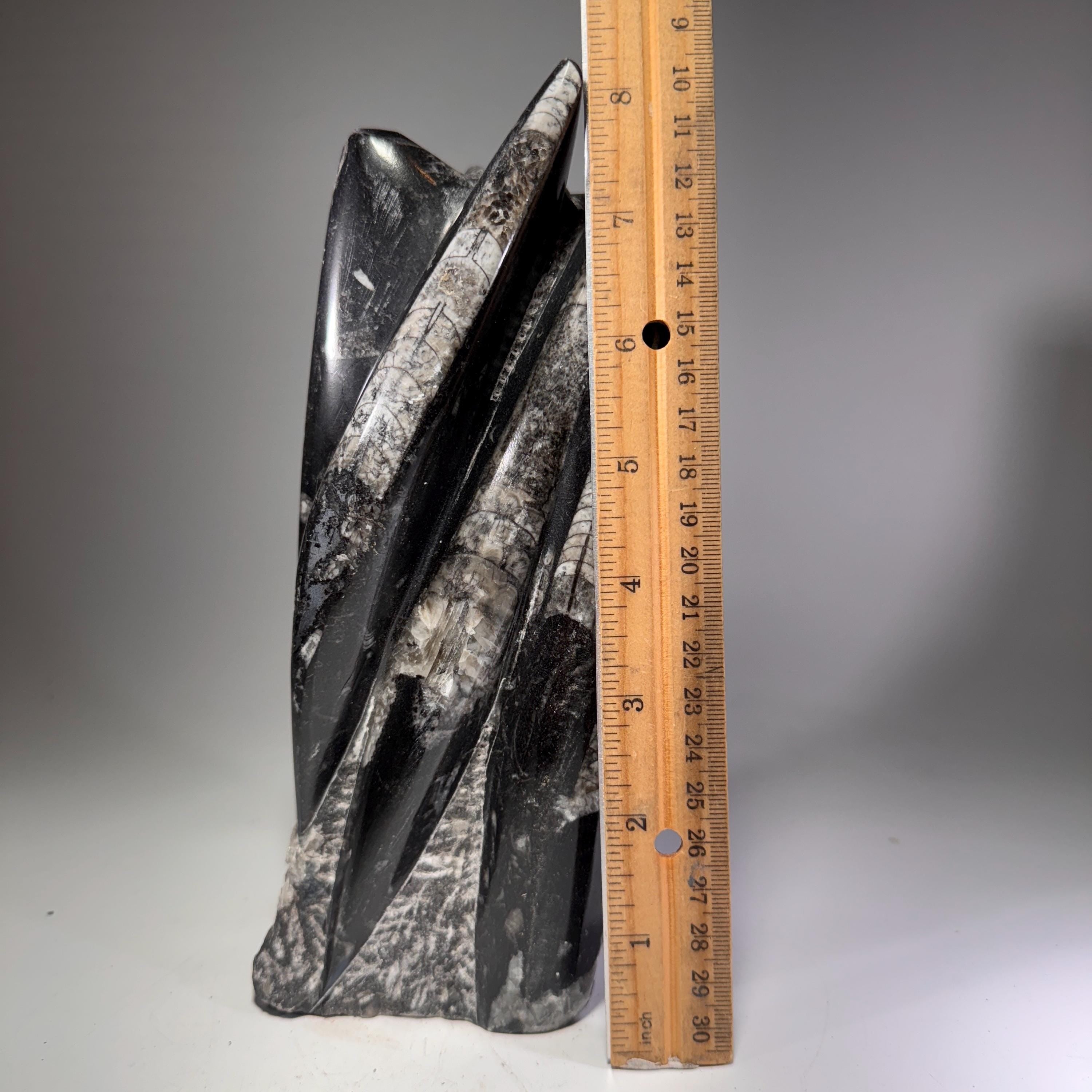 [shopname] - Orthoceras Fossil Tower, rock decor