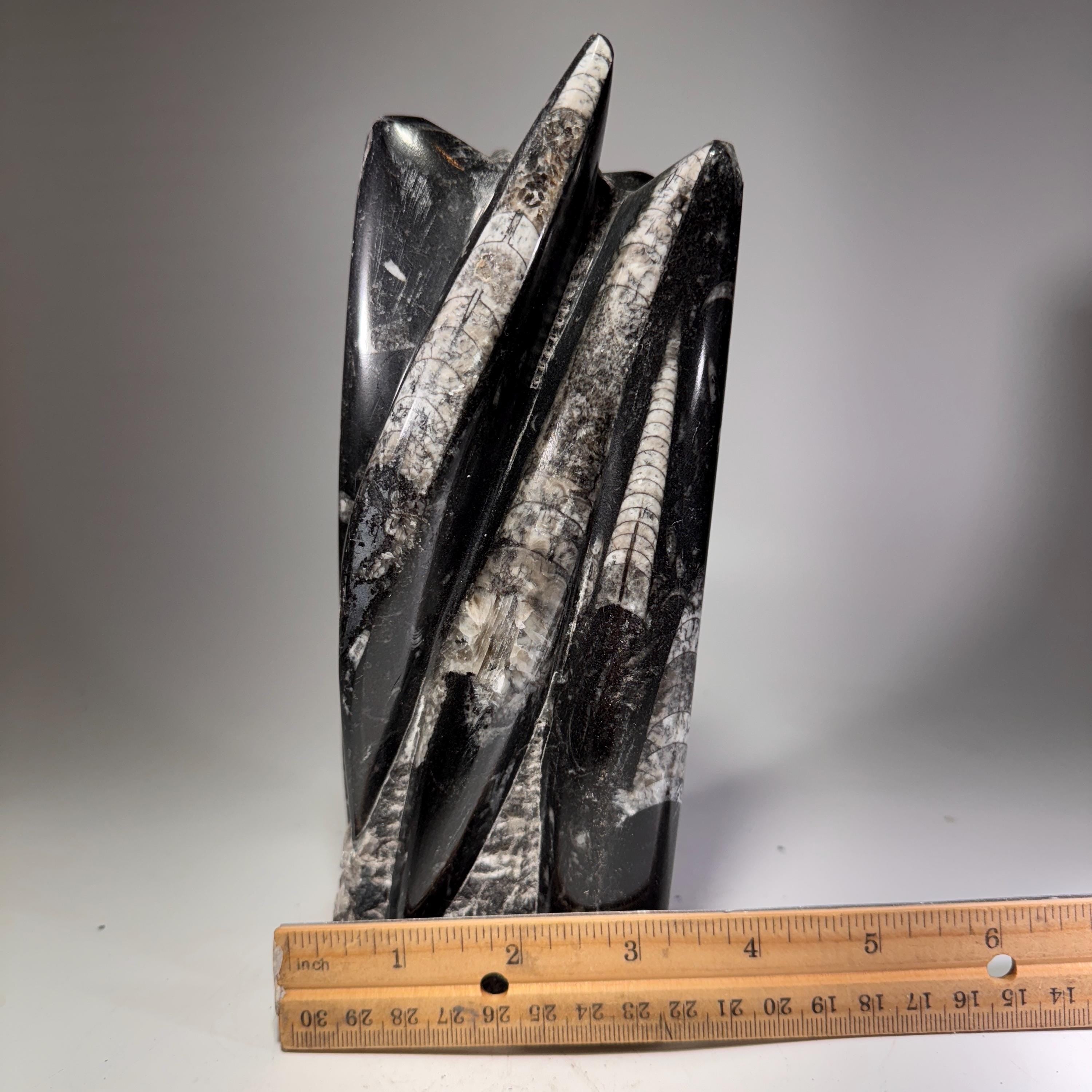 [shopname] - Orthoceras Fossil Tower, rock decor