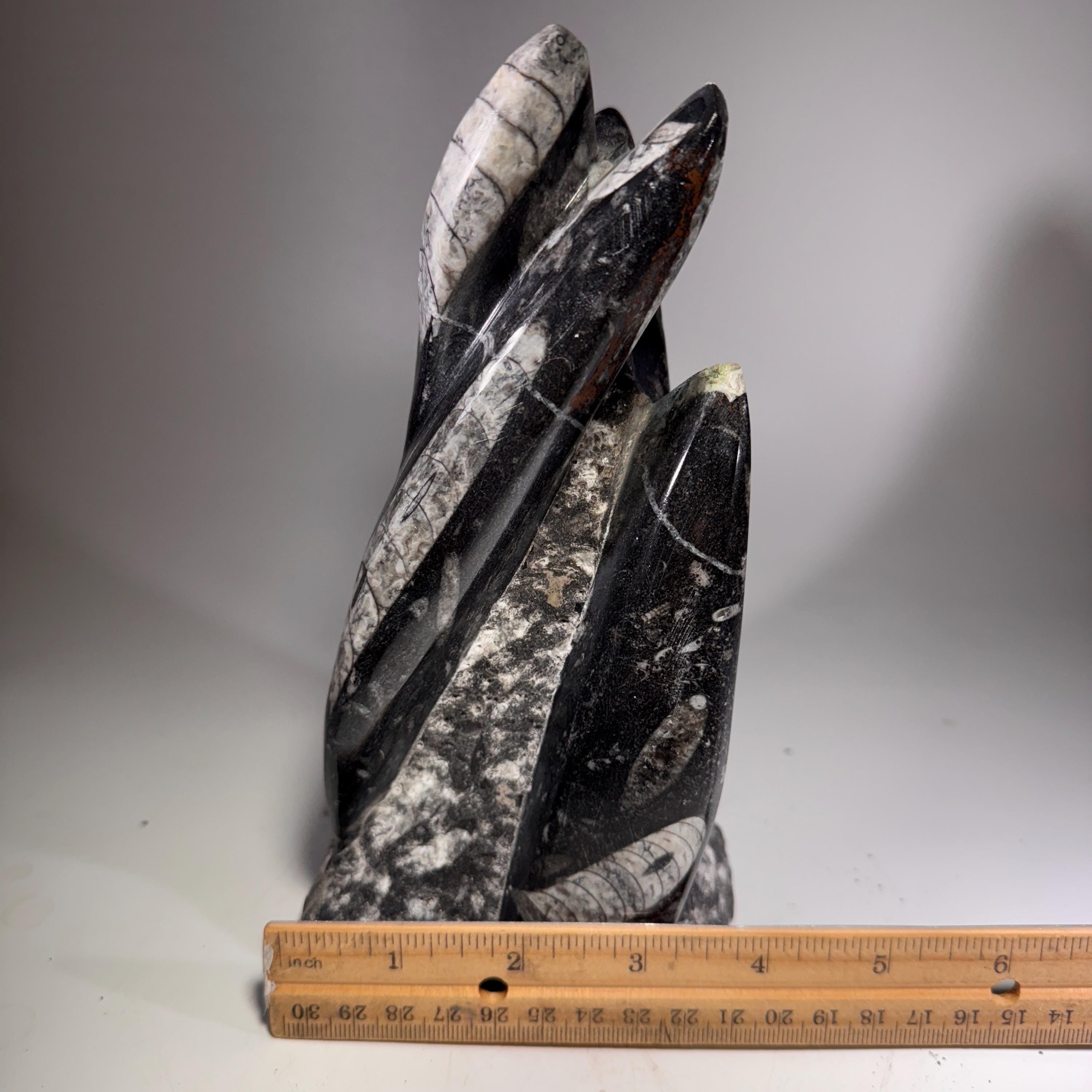 [shopname] - Orthoceras Fossil Tower, rock decor