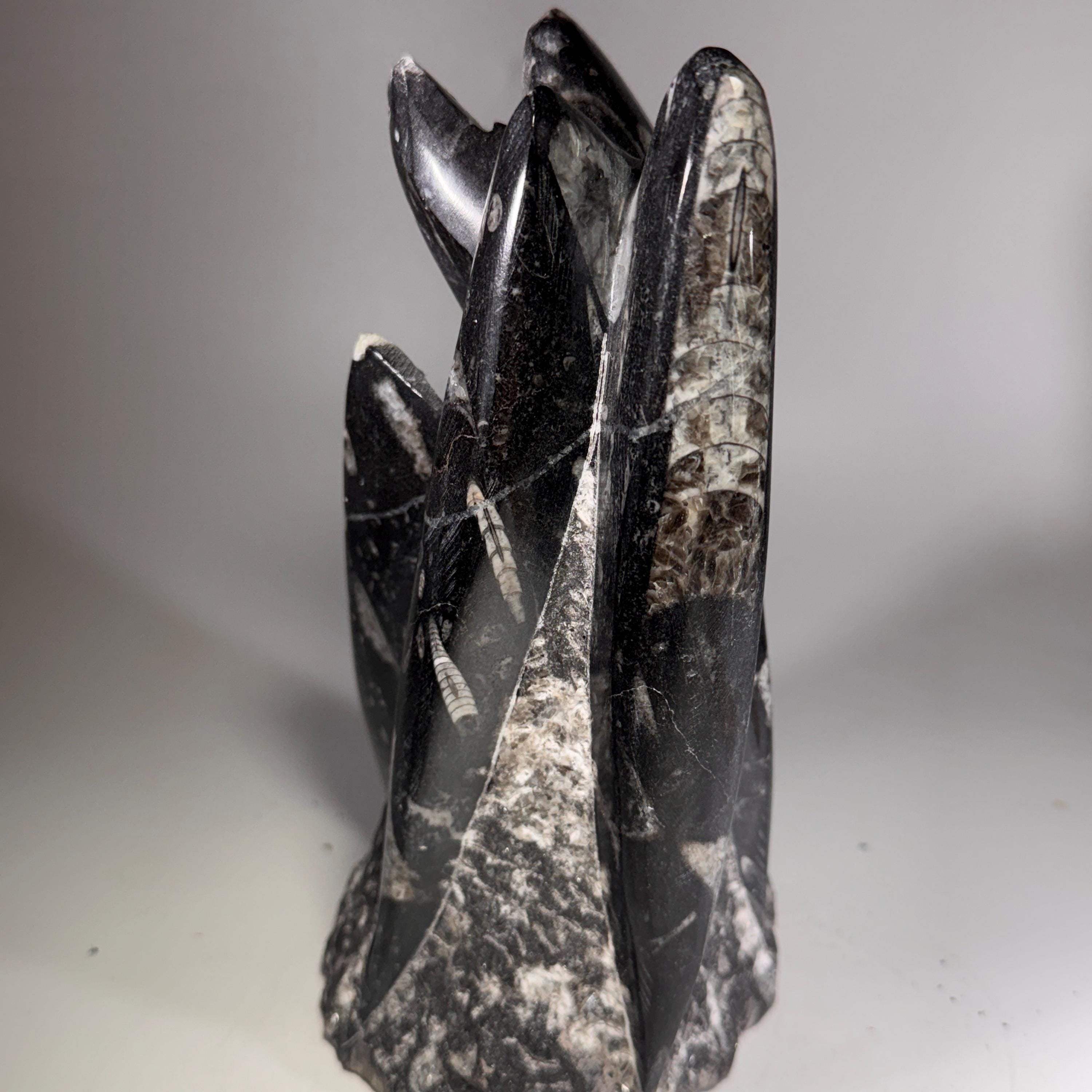 [shopname] - Orthoceras Fossil Tower, rock decor