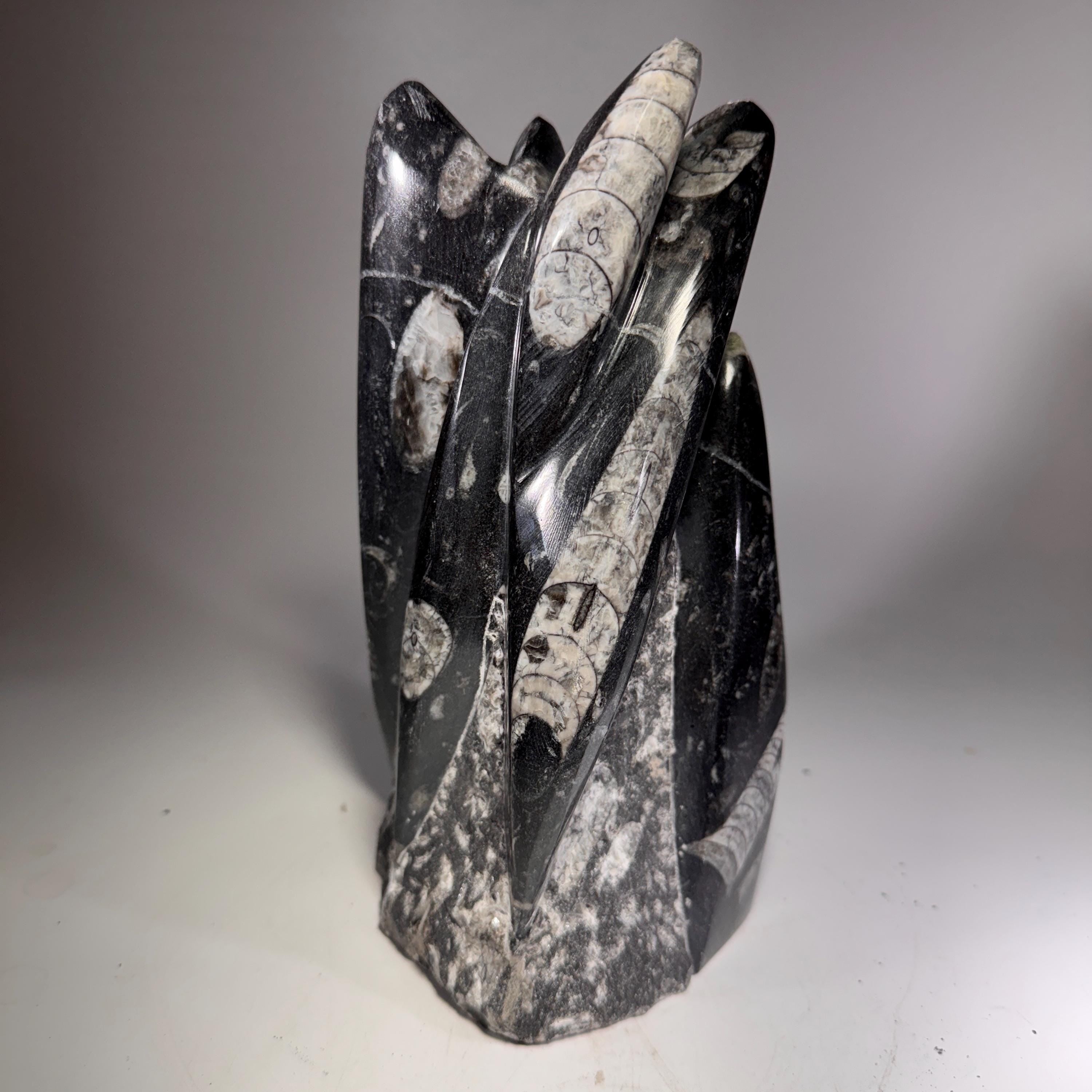 [shopname] - Orthoceras Fossil Tower, rock decor